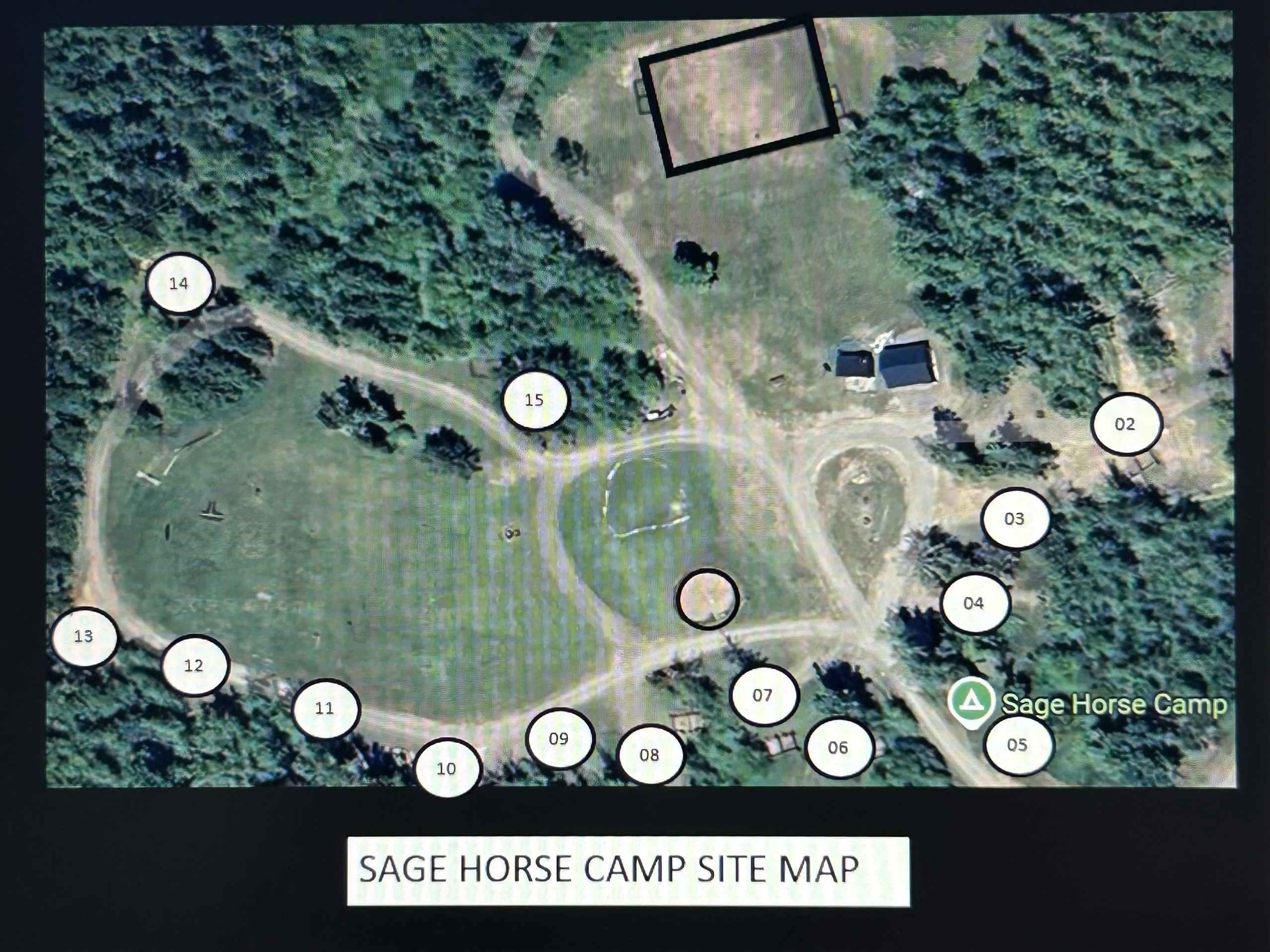 Sage Horse Camp.
