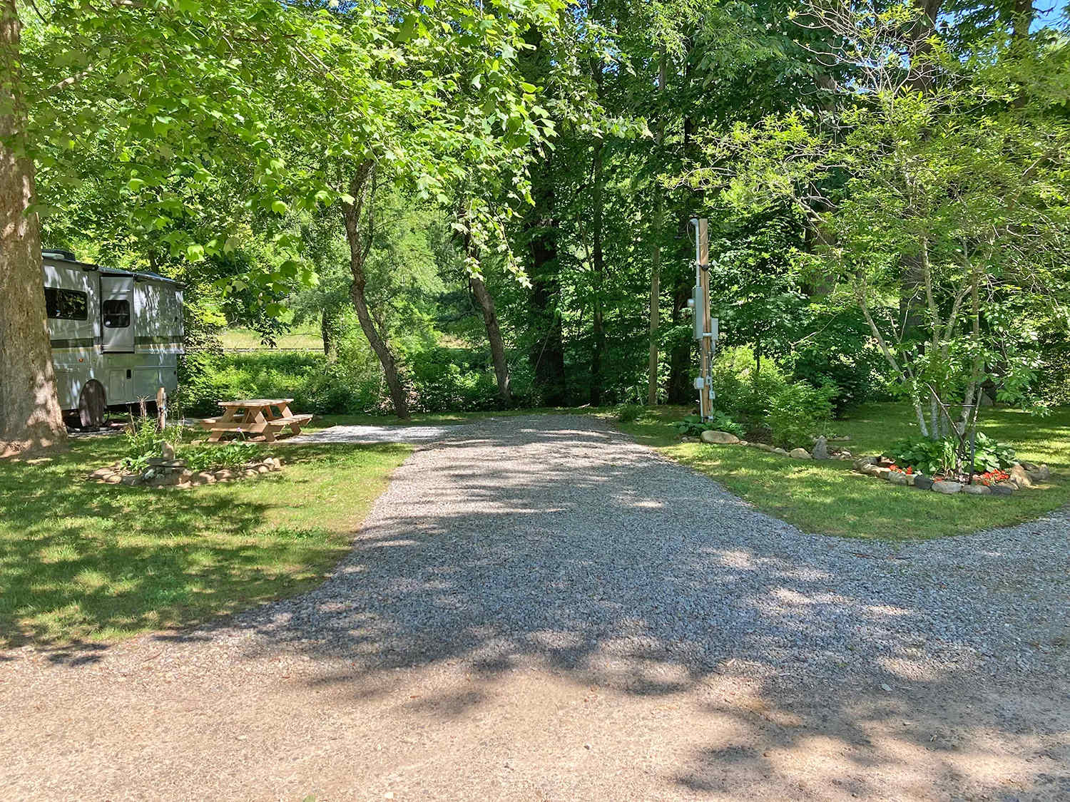 Picture of the site