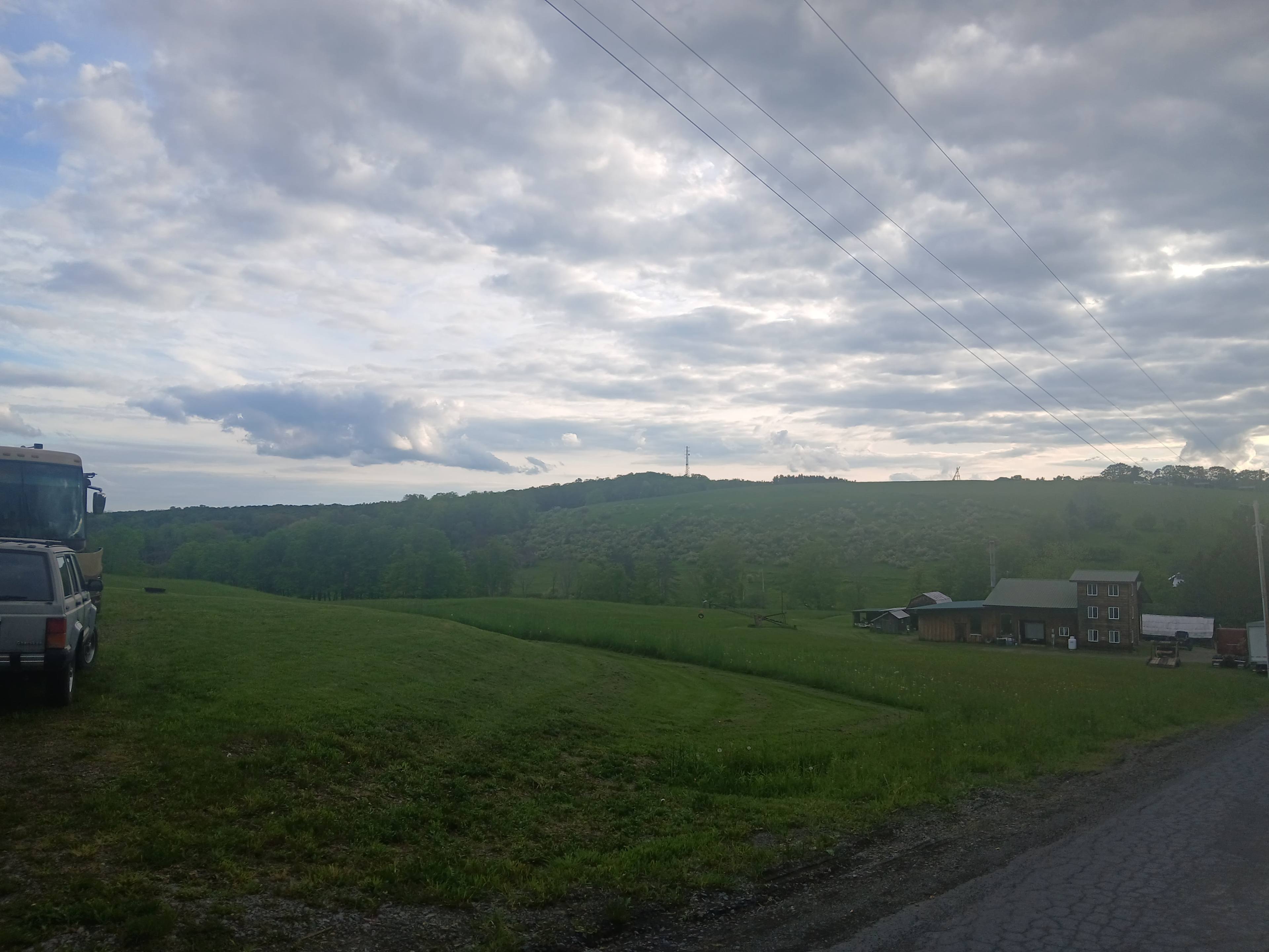 Firefly field