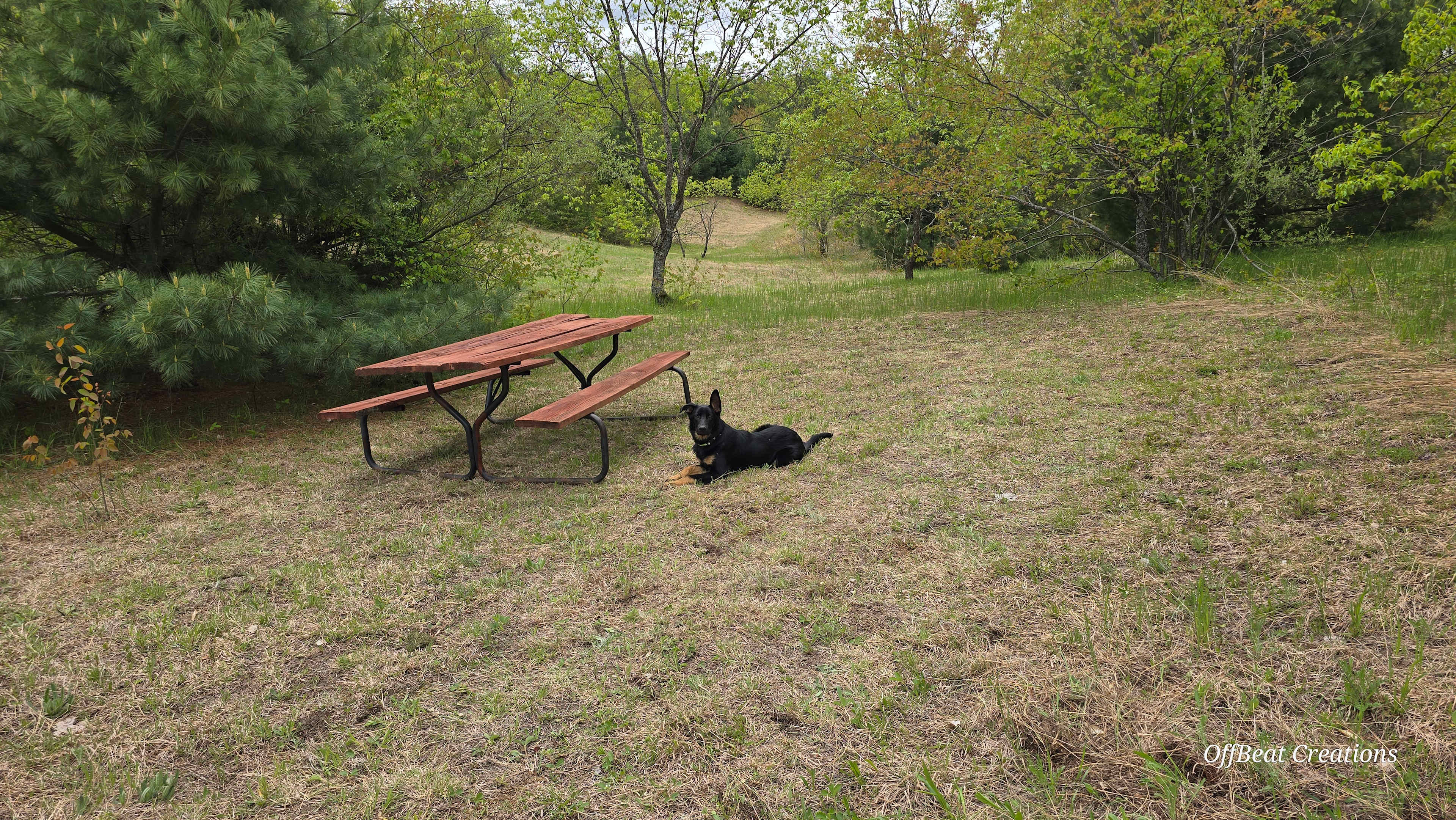 Picture of the site