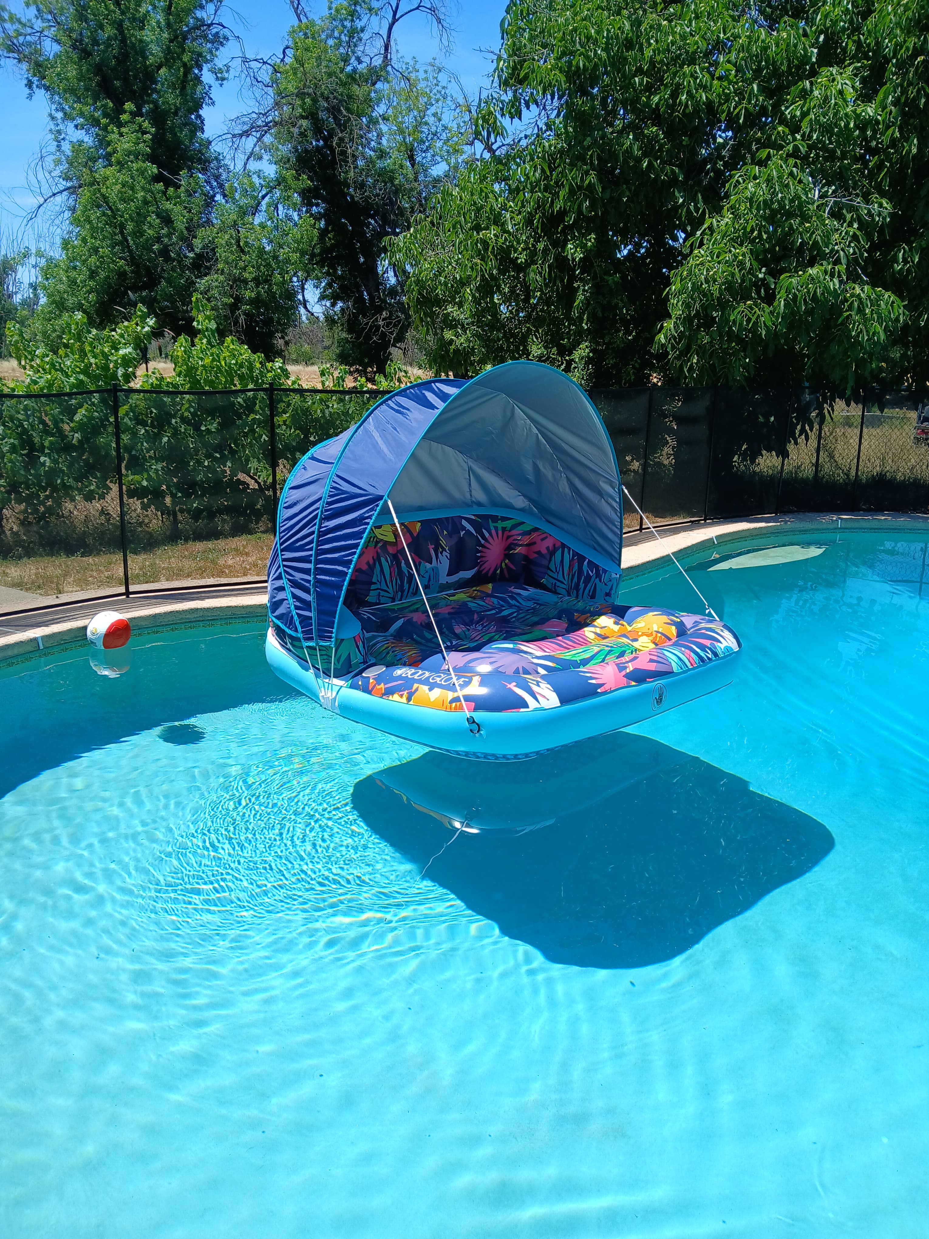 Shasta Shenanigans Farm Pool Camp
