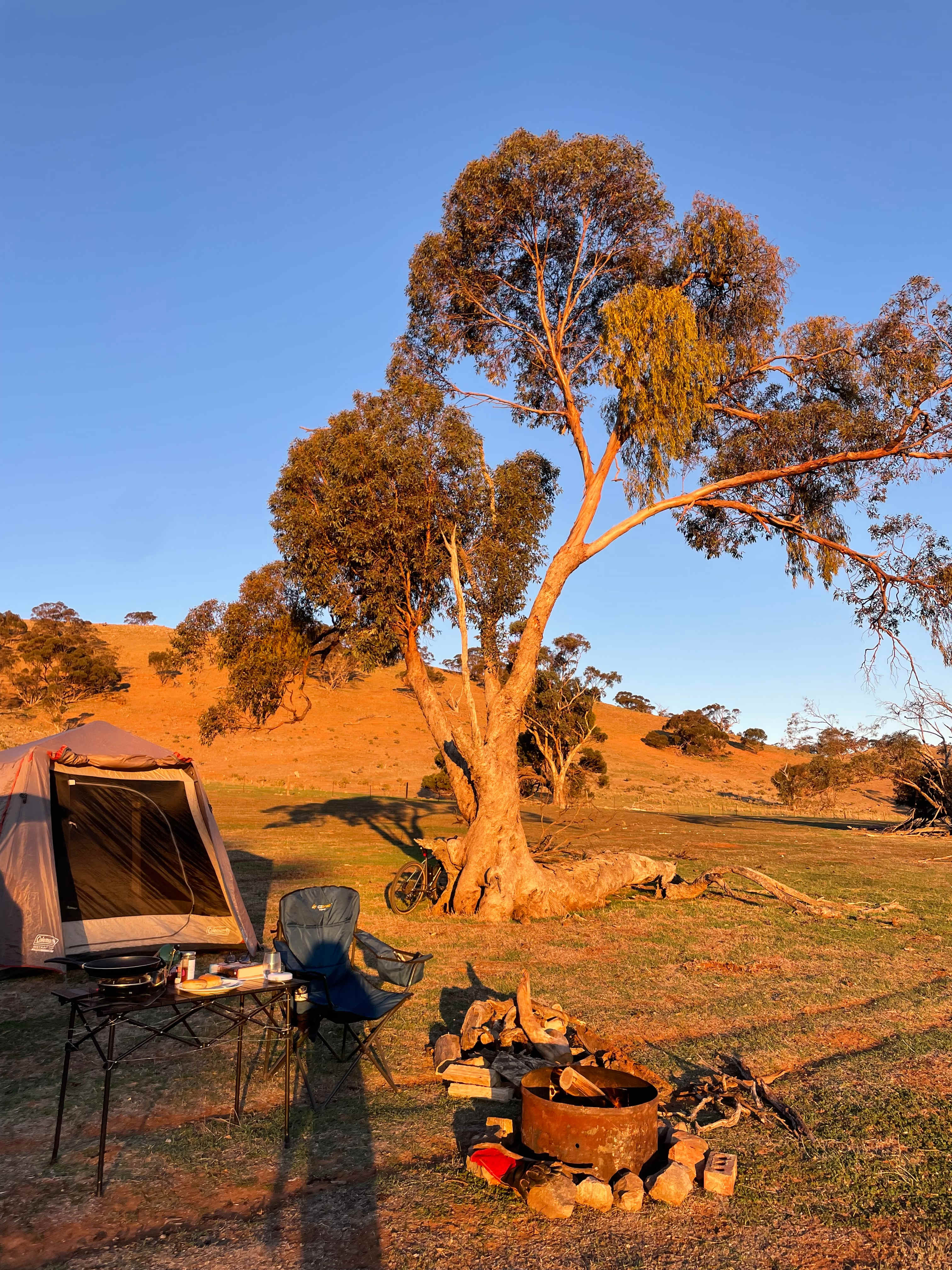Picture of the site