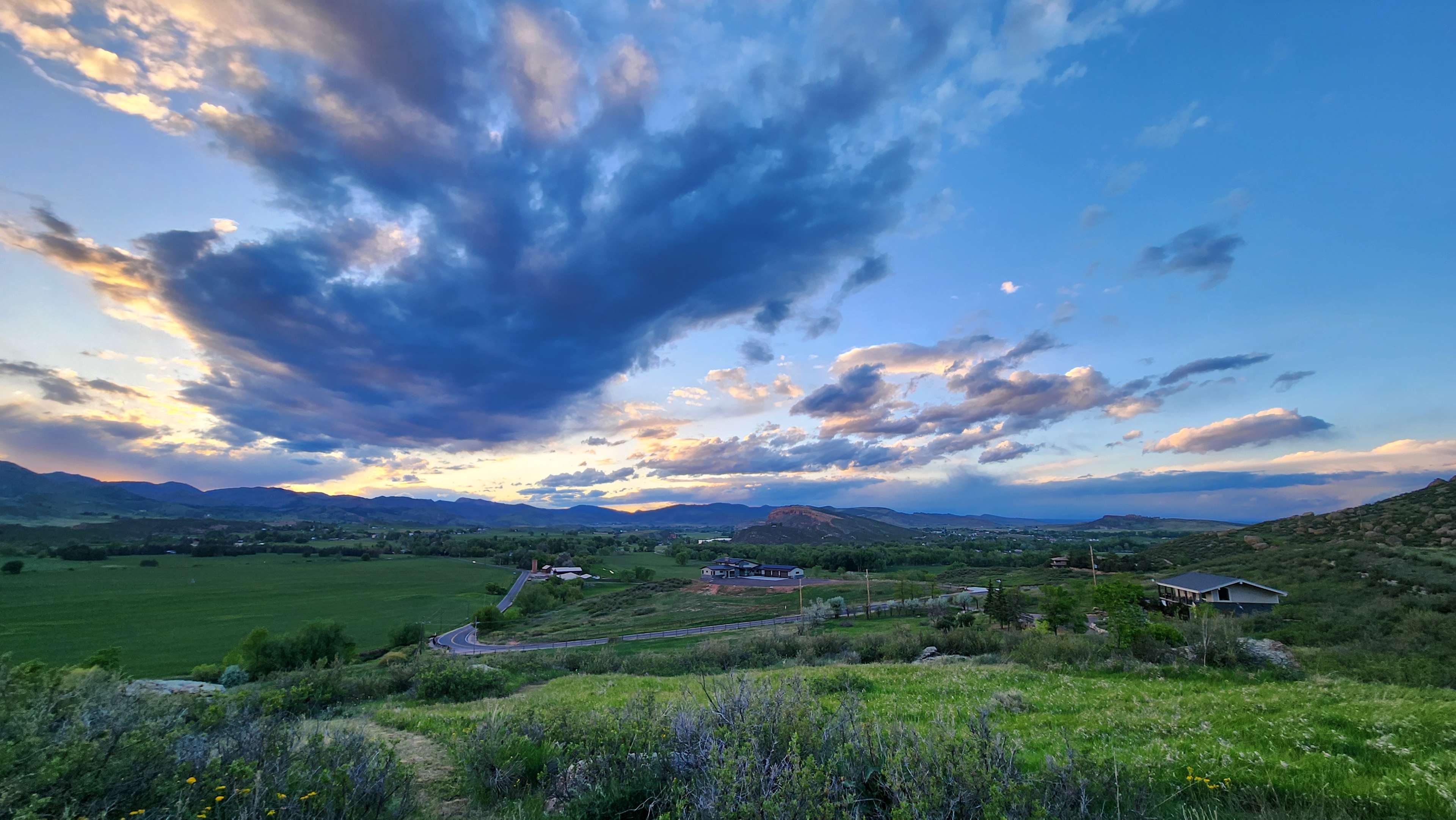 Bingham Hill