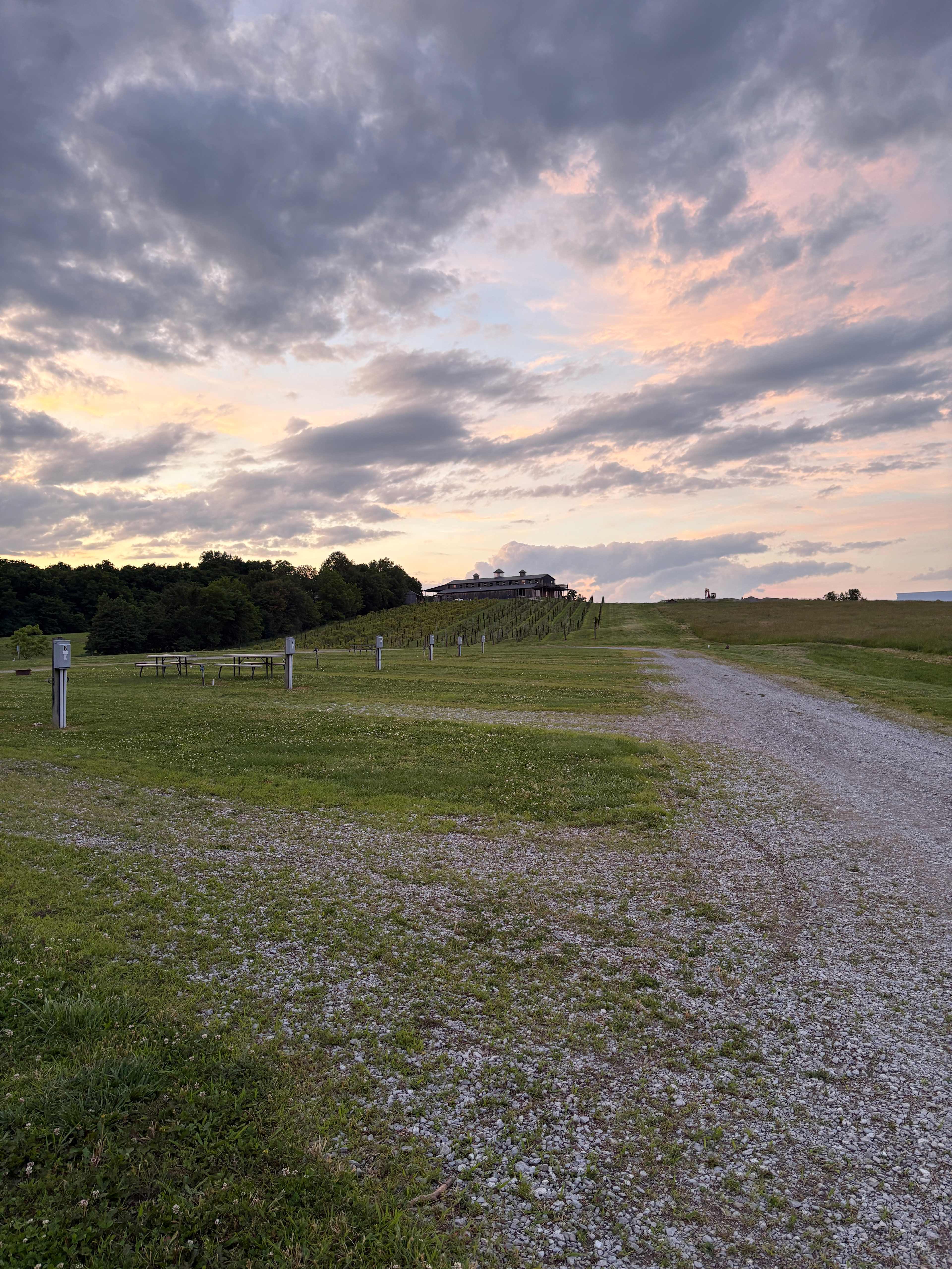 Grand Chain Vineyards
