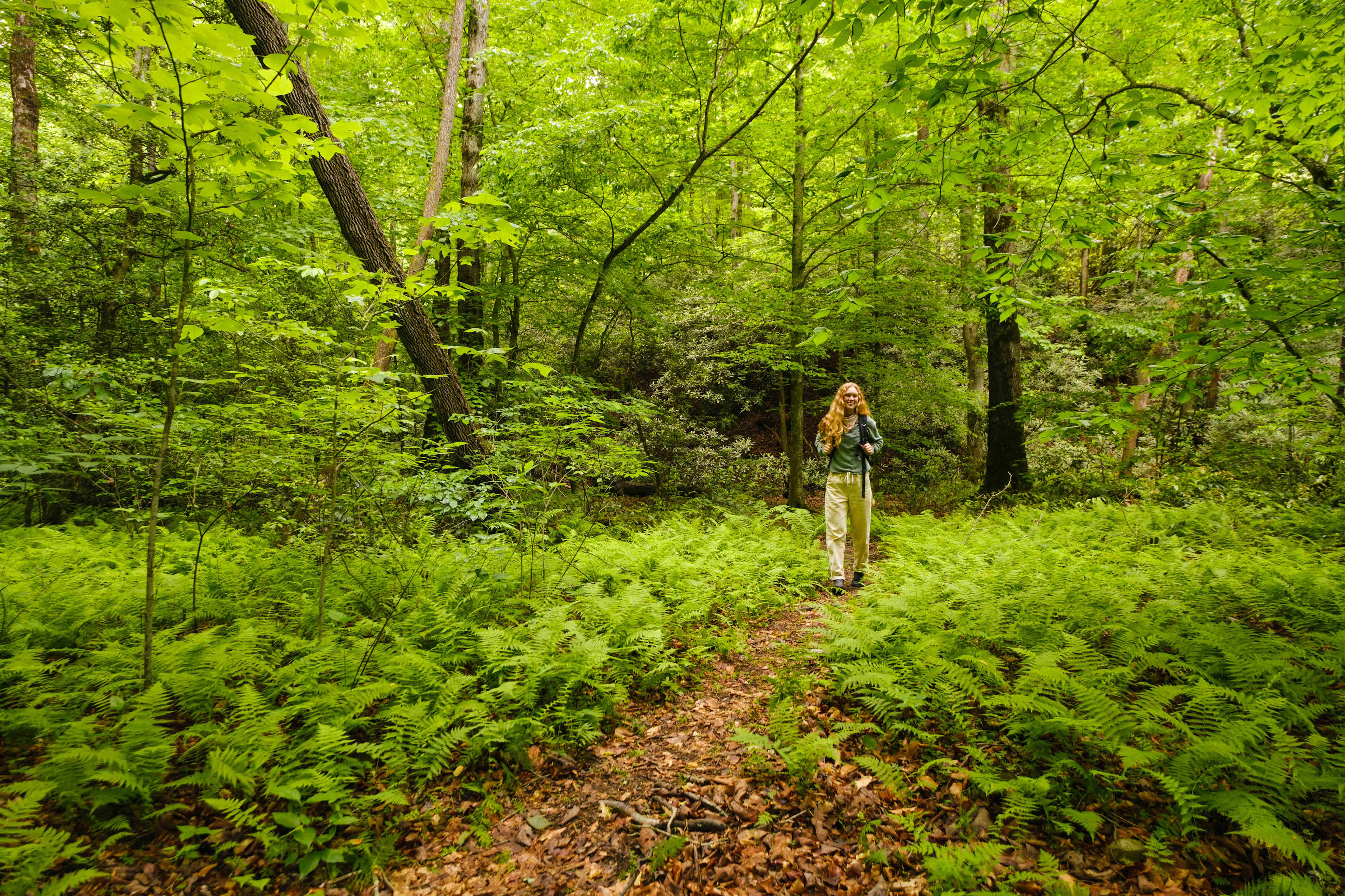 So many ferns and greenery on the nature loop!