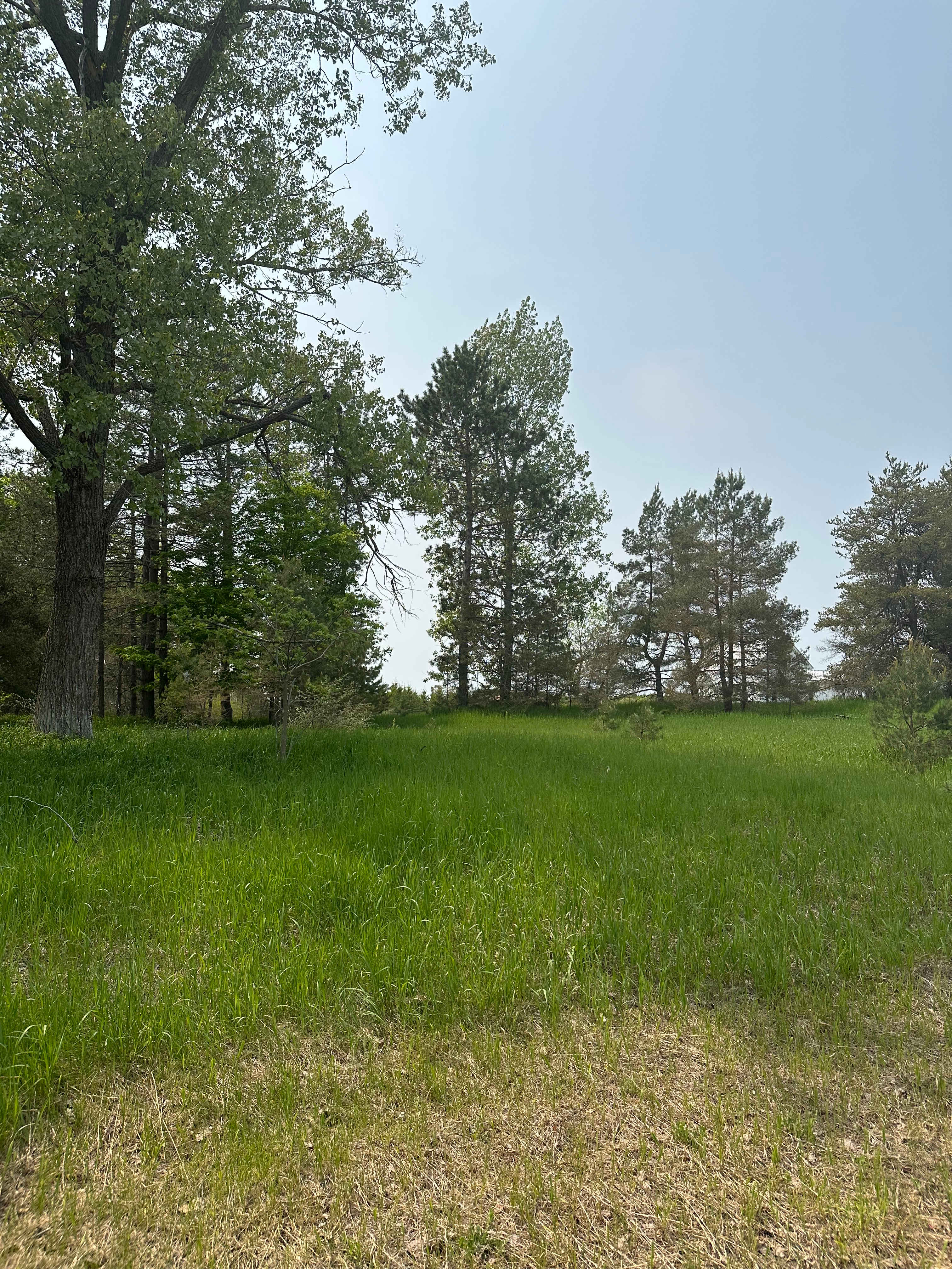 Trailer Meadow