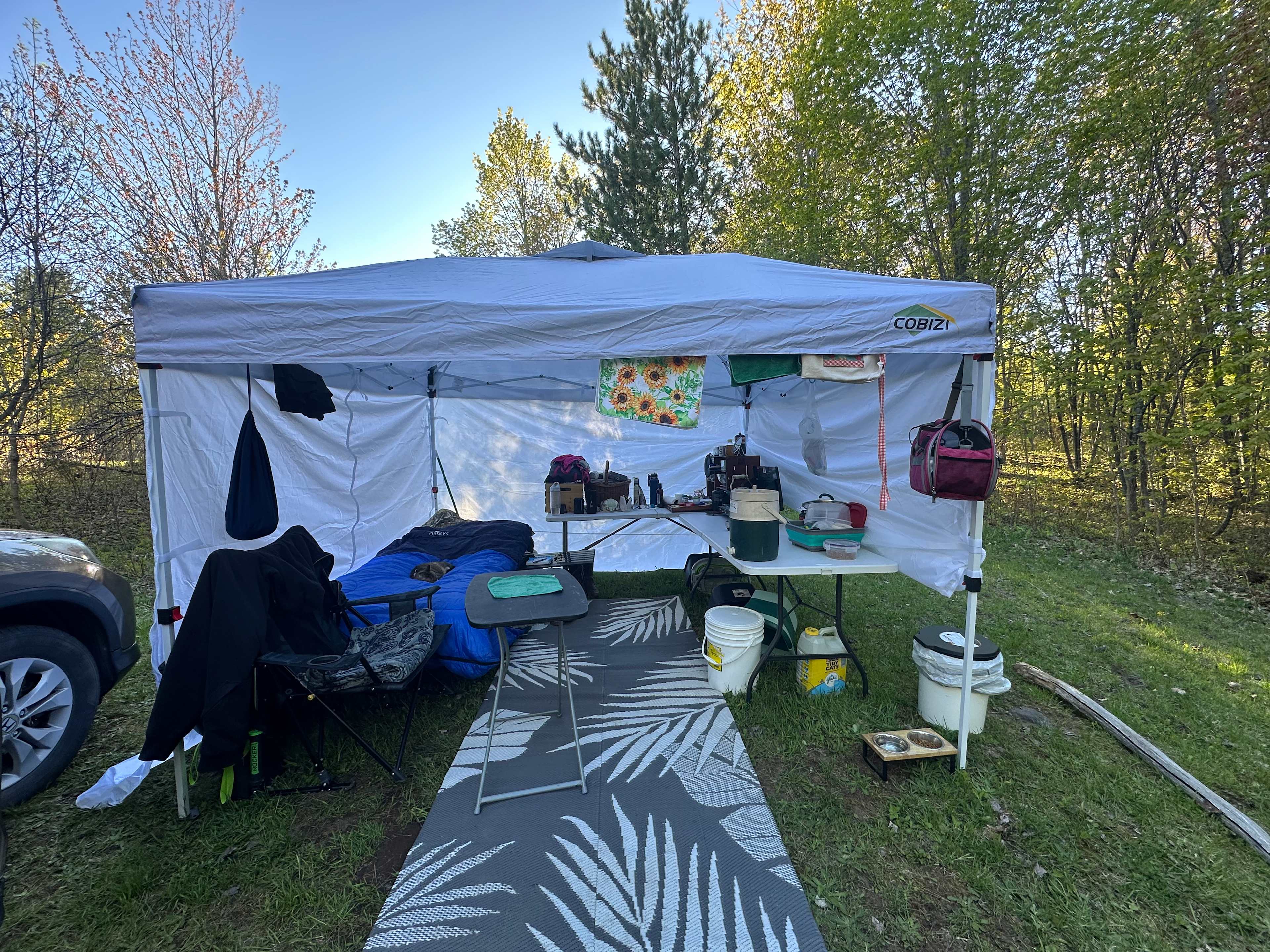 Picture of the site