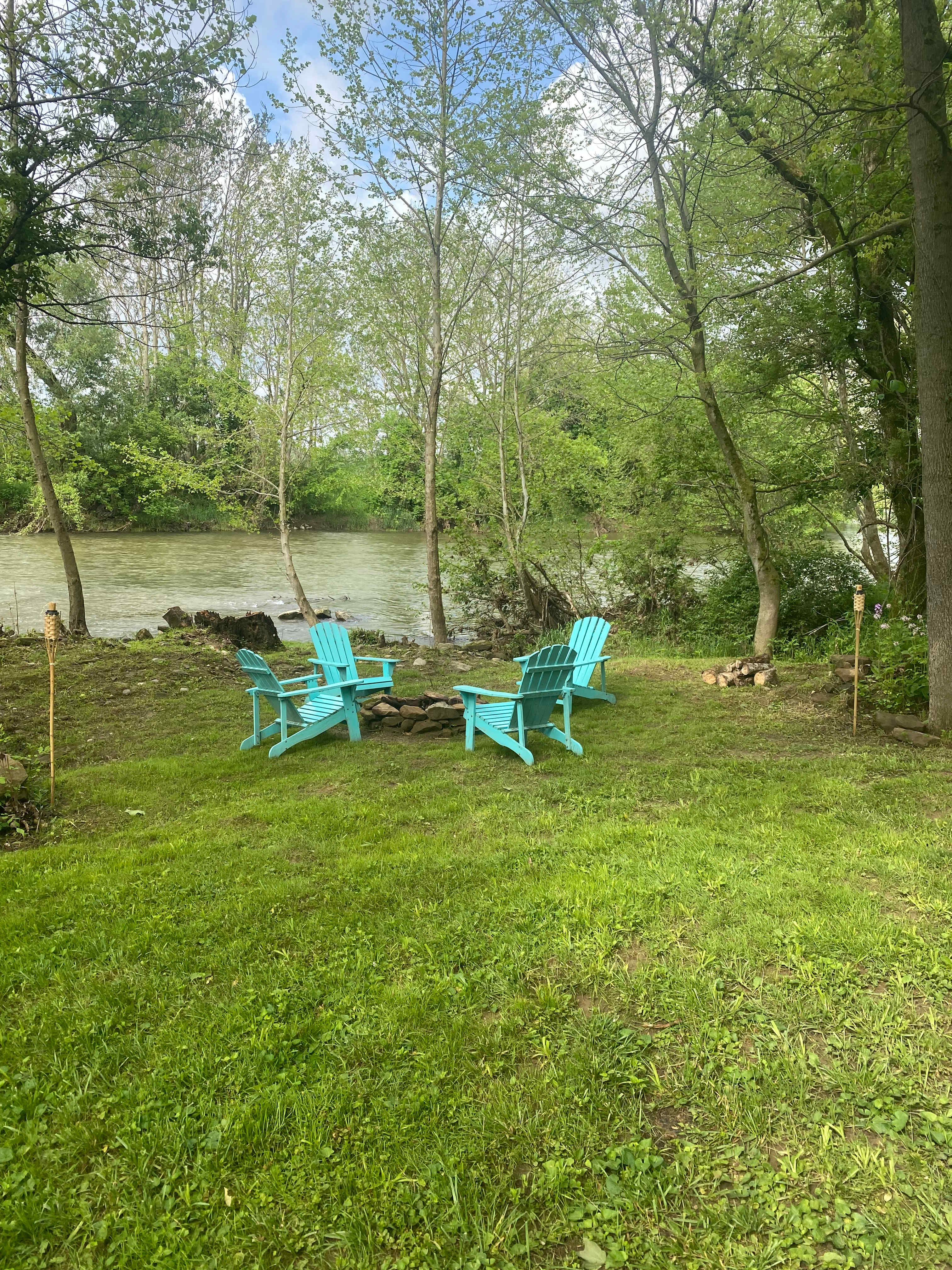 Buckeye Grove