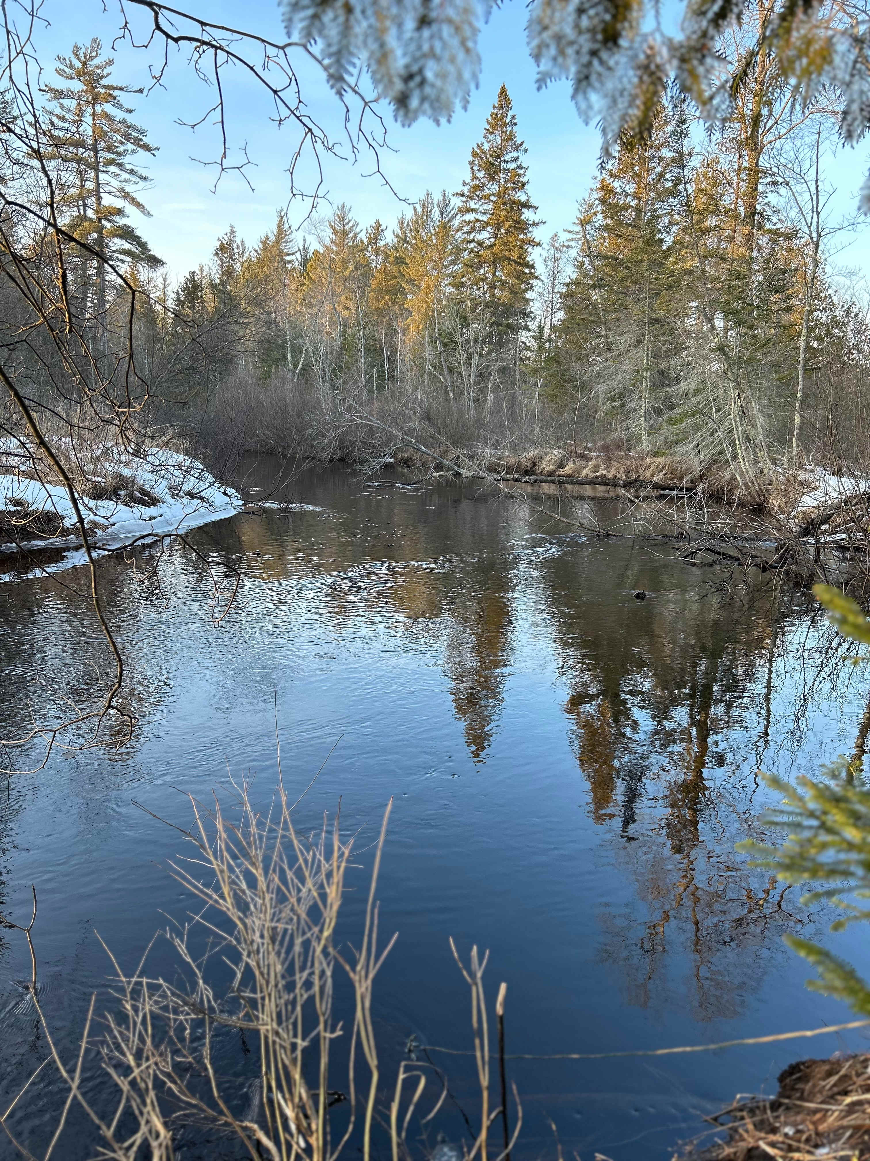 Stutts Creek 40 Acre Camp Site