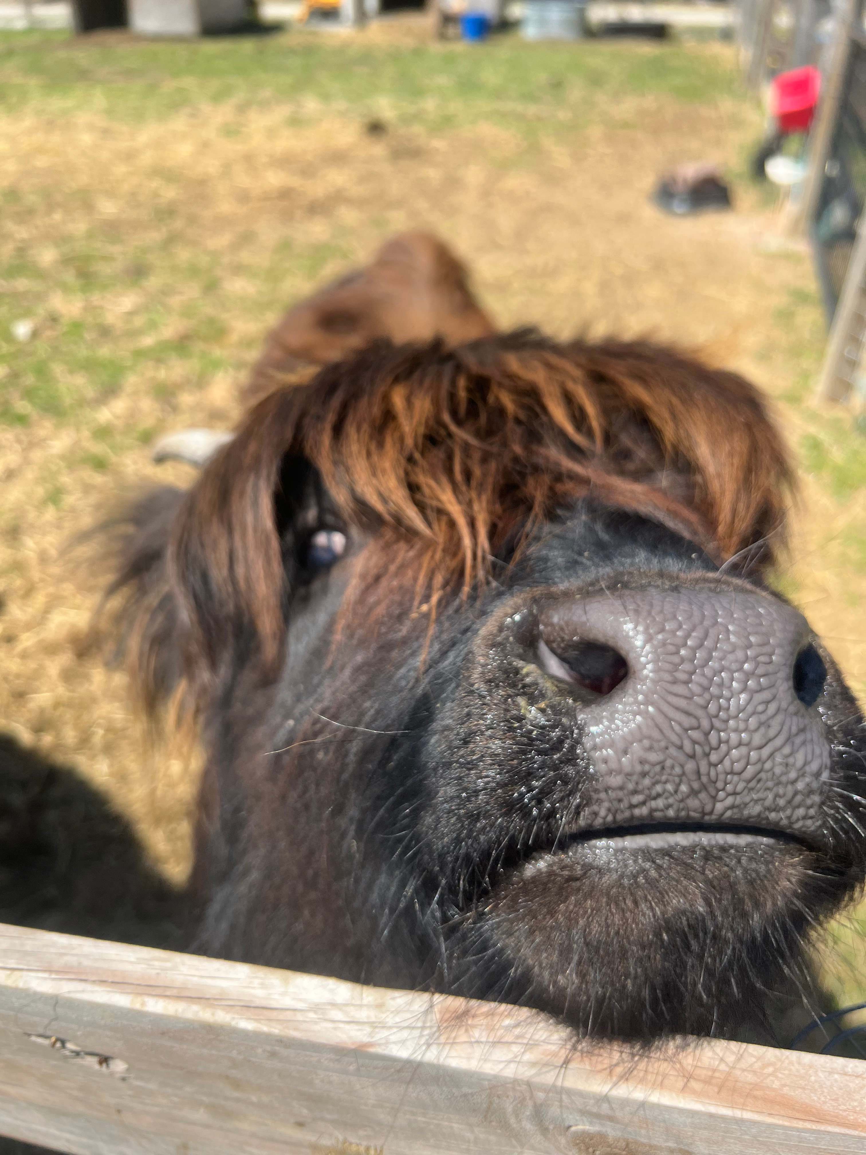 On Farm Boutique Glamping