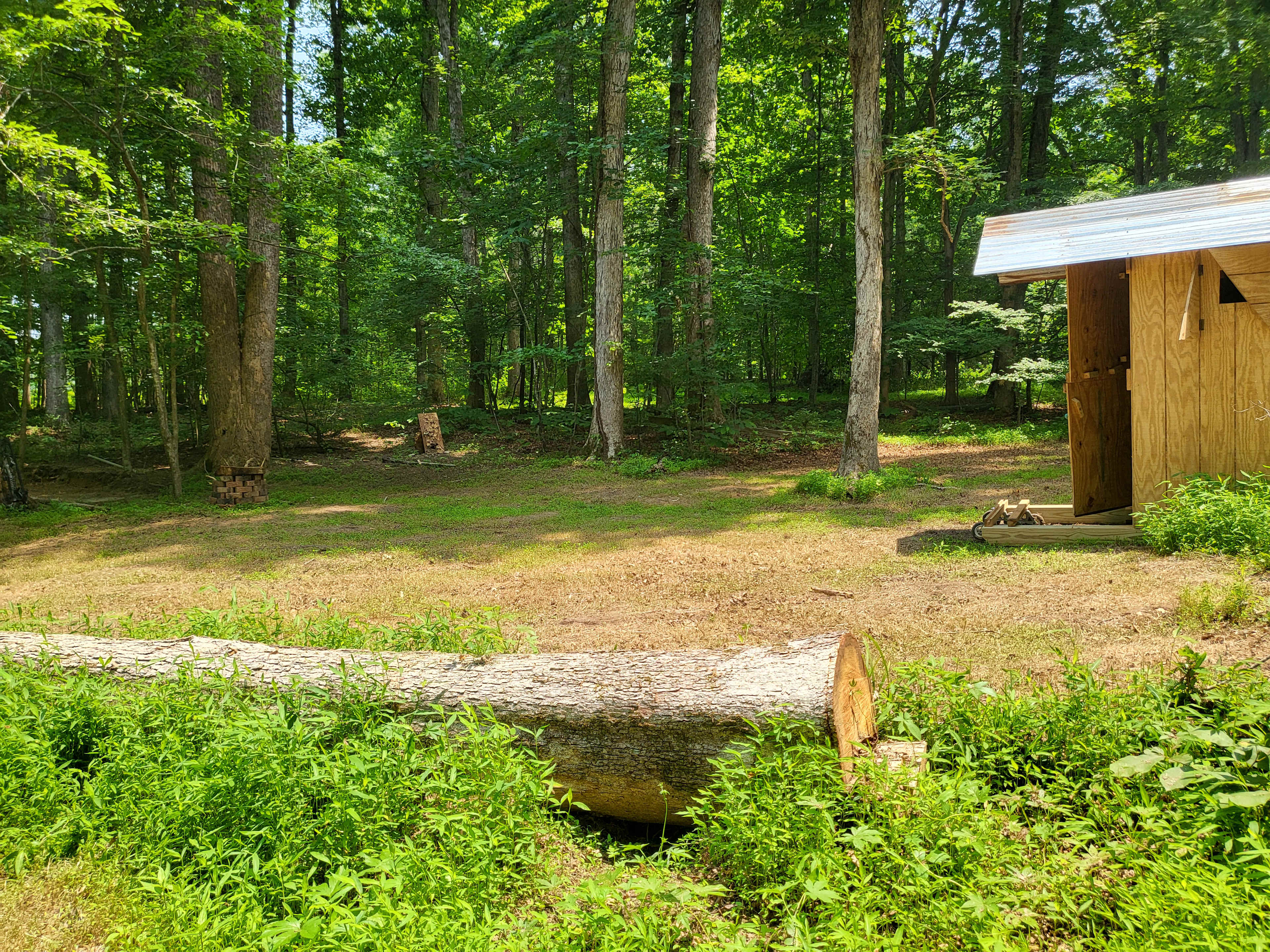 Old Grove