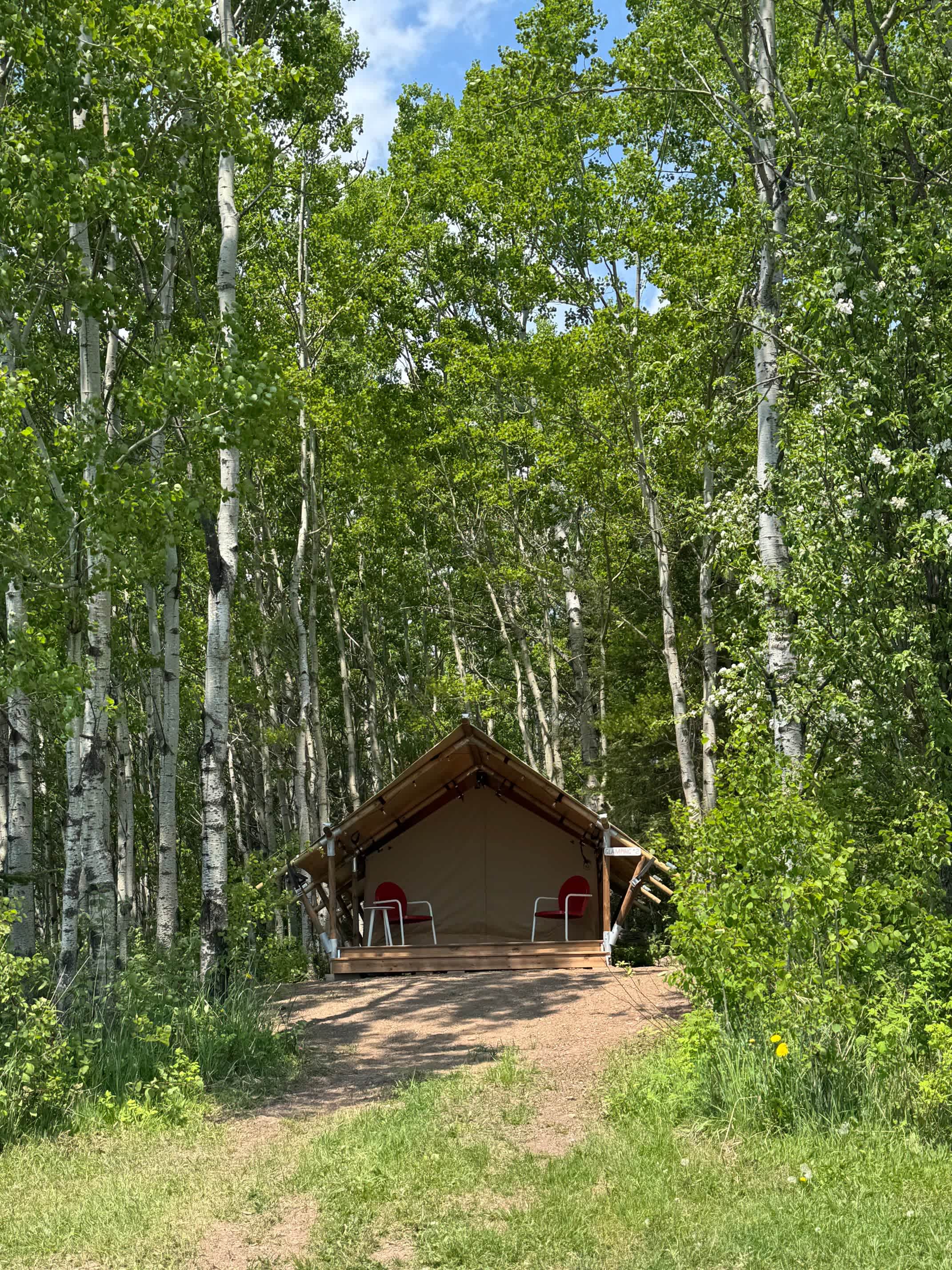 Picture of the site