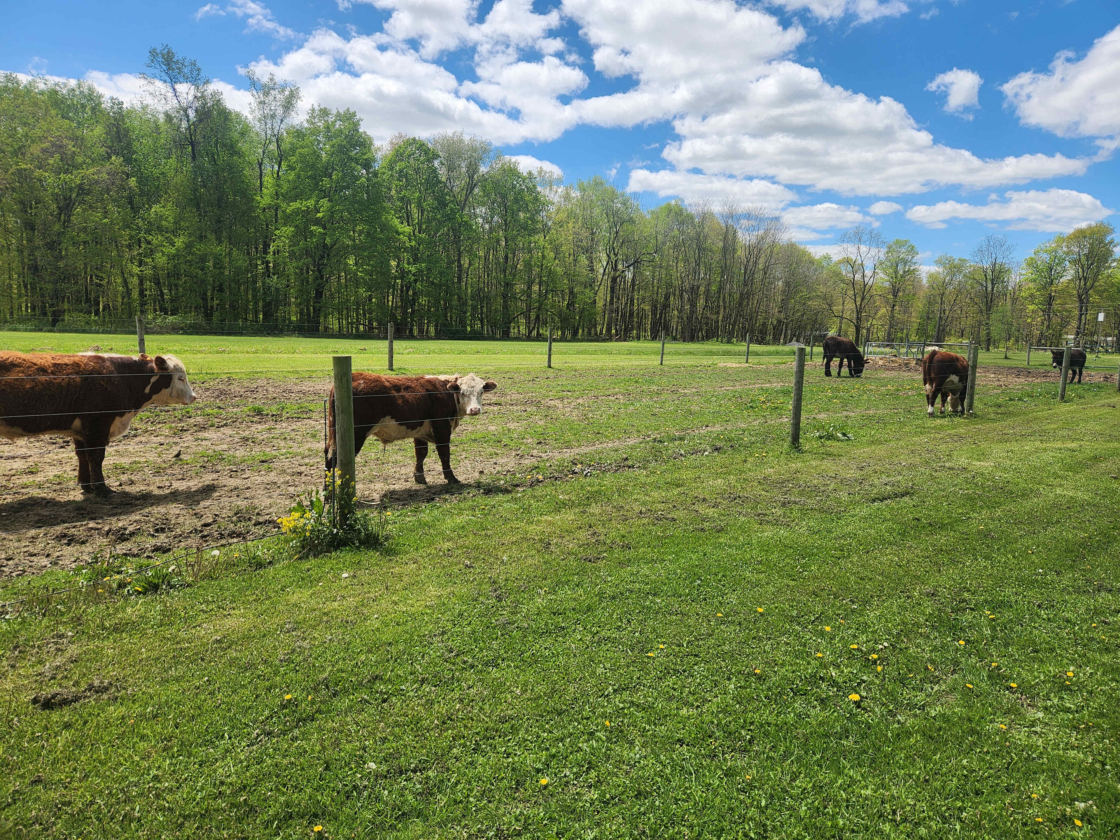 Cozy Farmstead By Conneaut Lake
