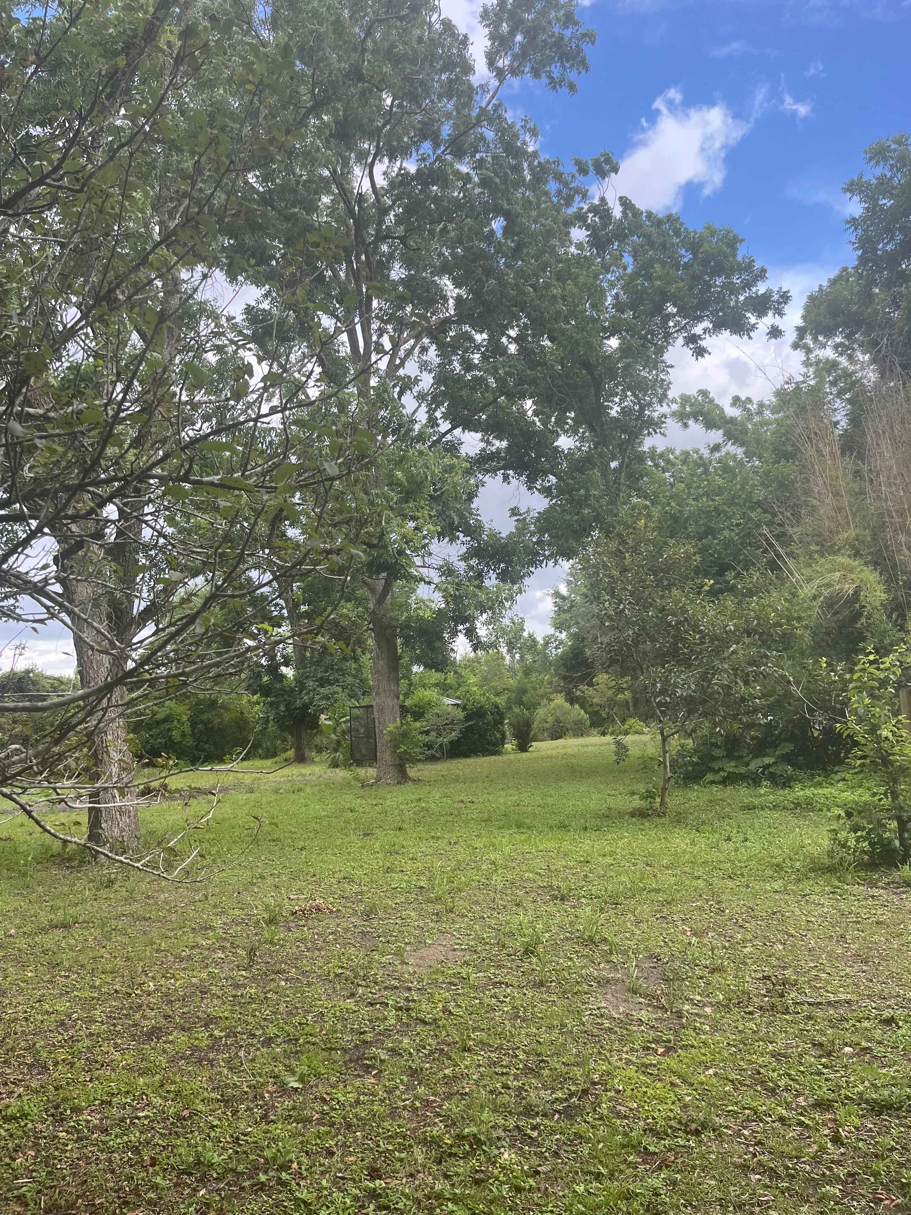 Froggy Bottom Farm
