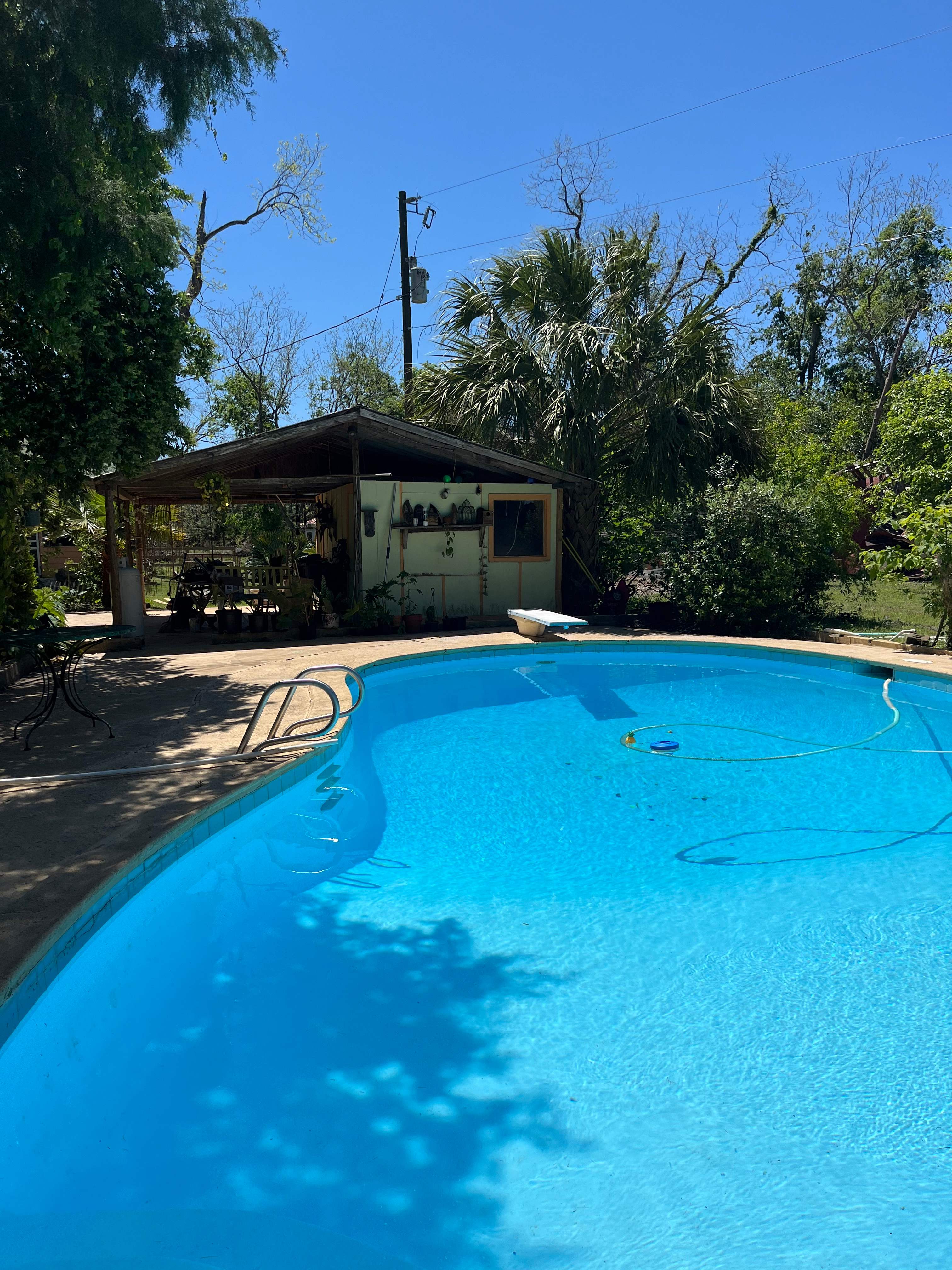 Froggy Bottom Farm