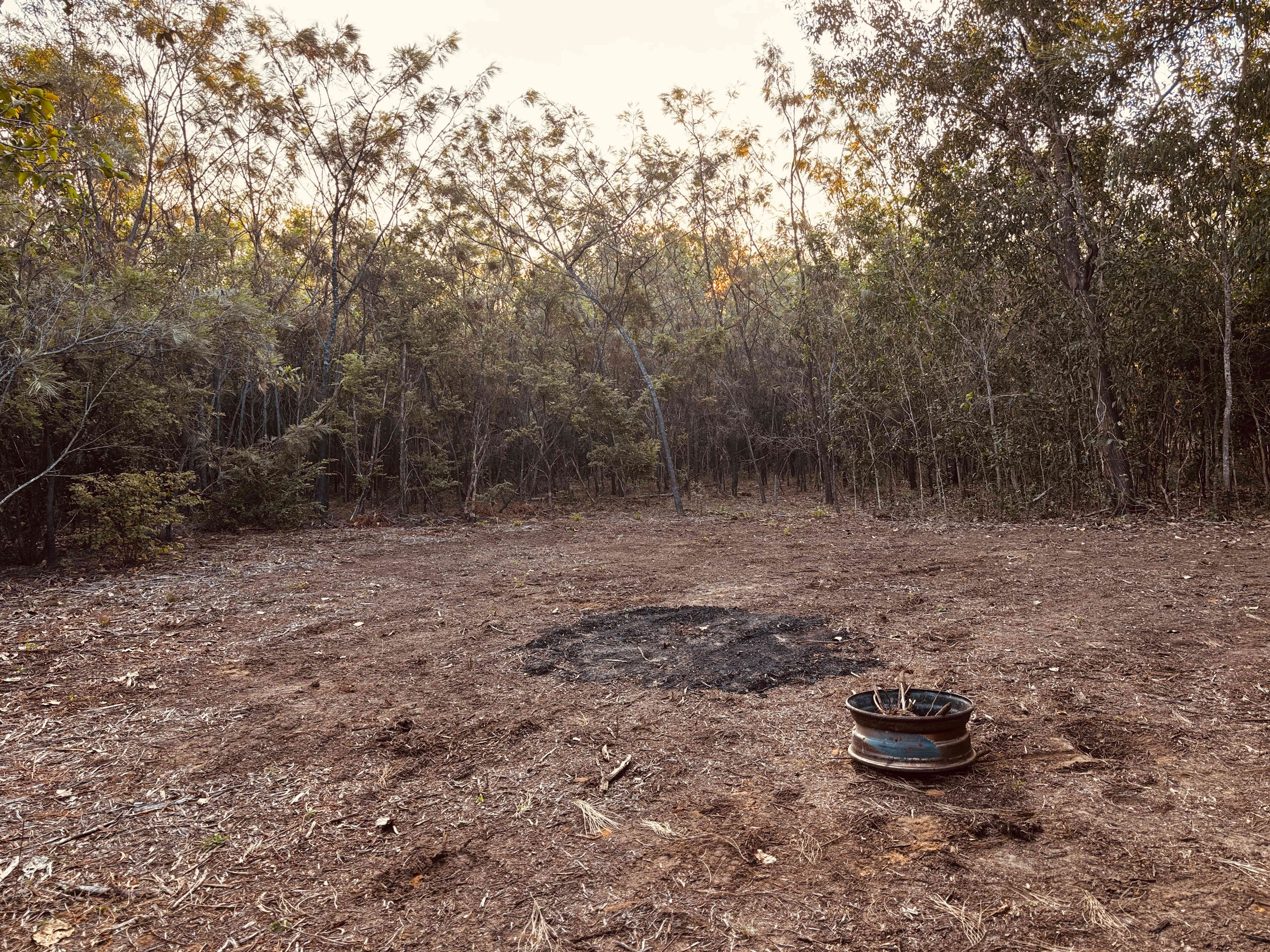 Picture of the site