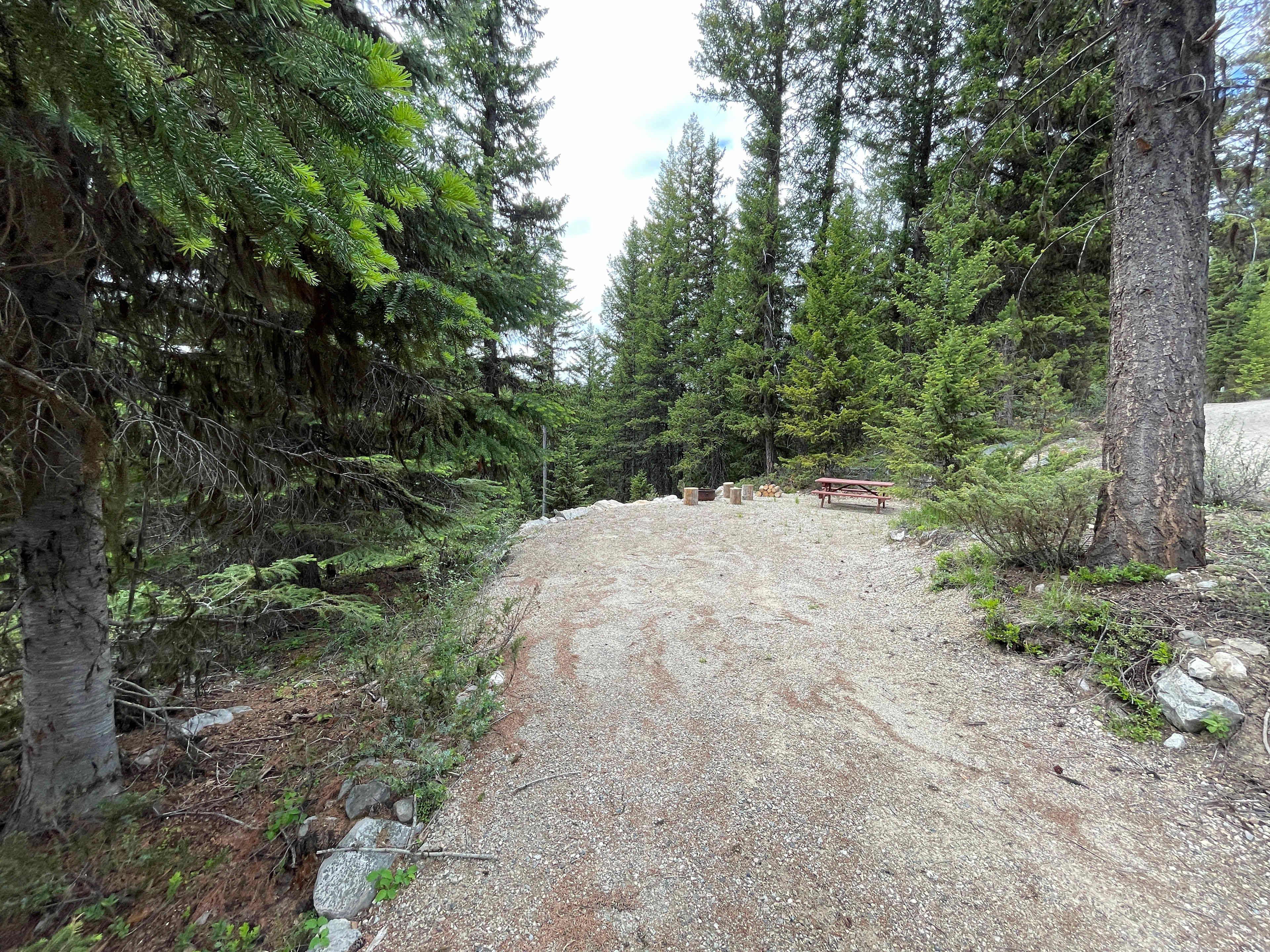Picture of the site