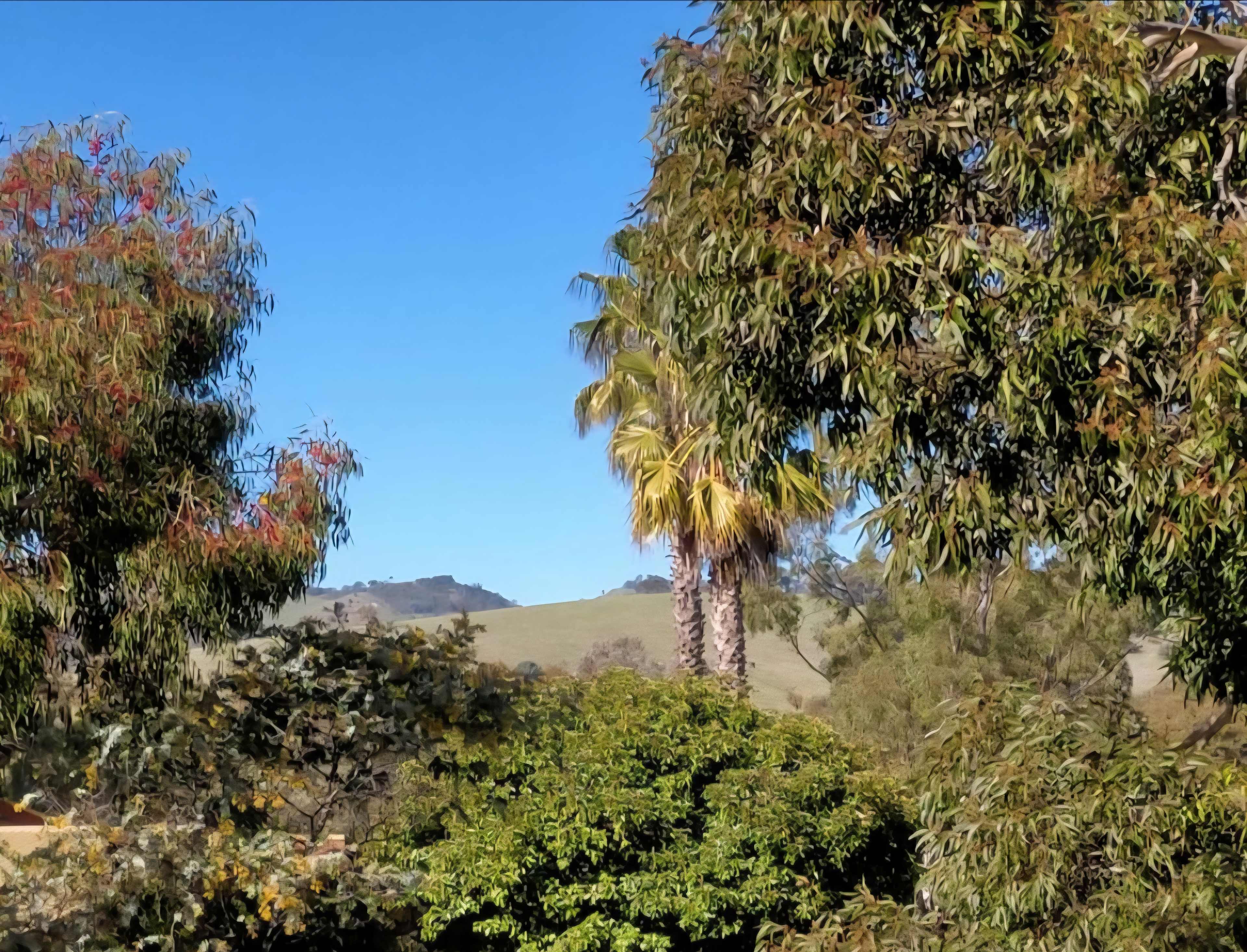 Lyndoch Little Hideaway