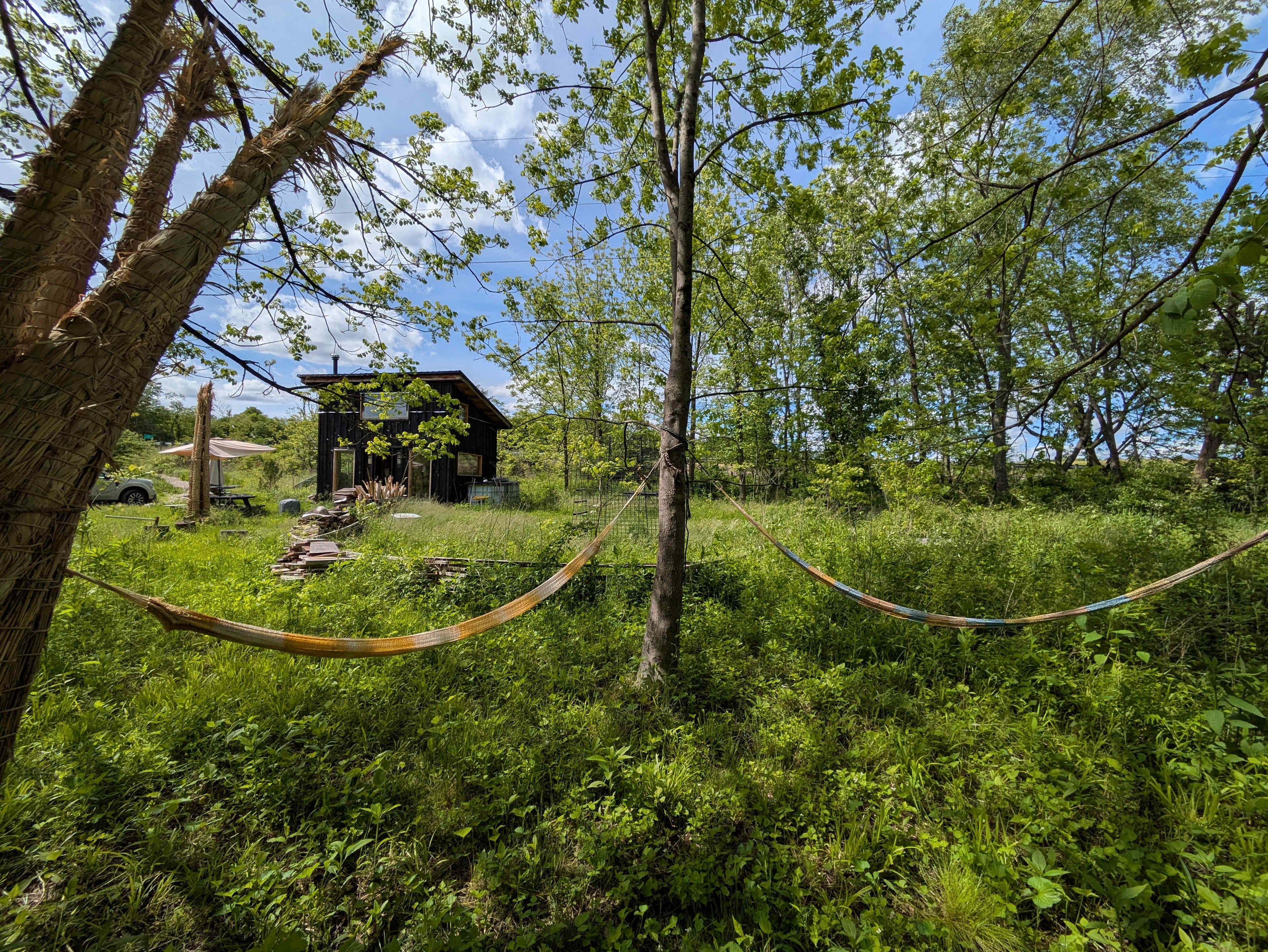 Bluebird Hollow