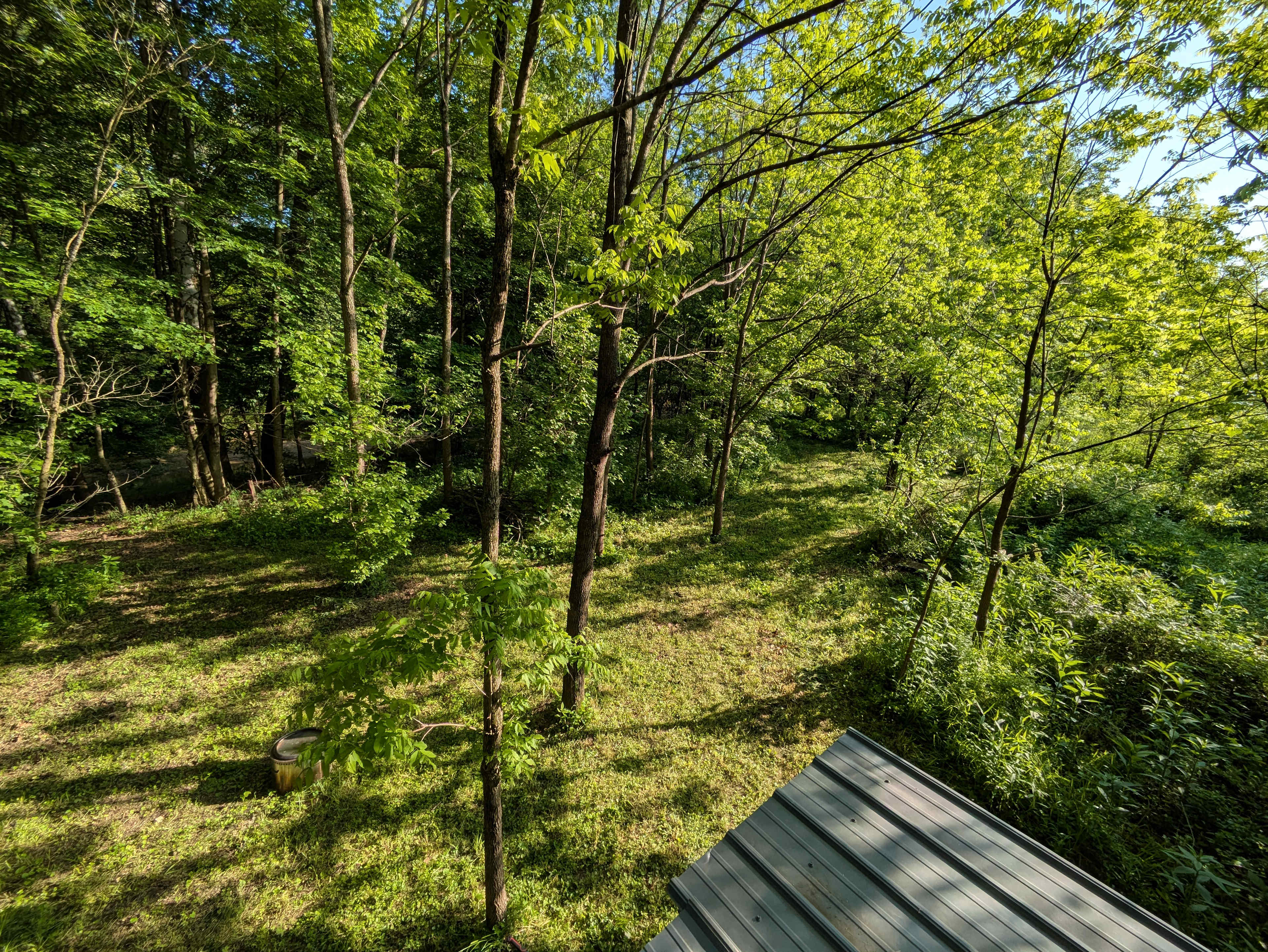 Bluebird Hollow