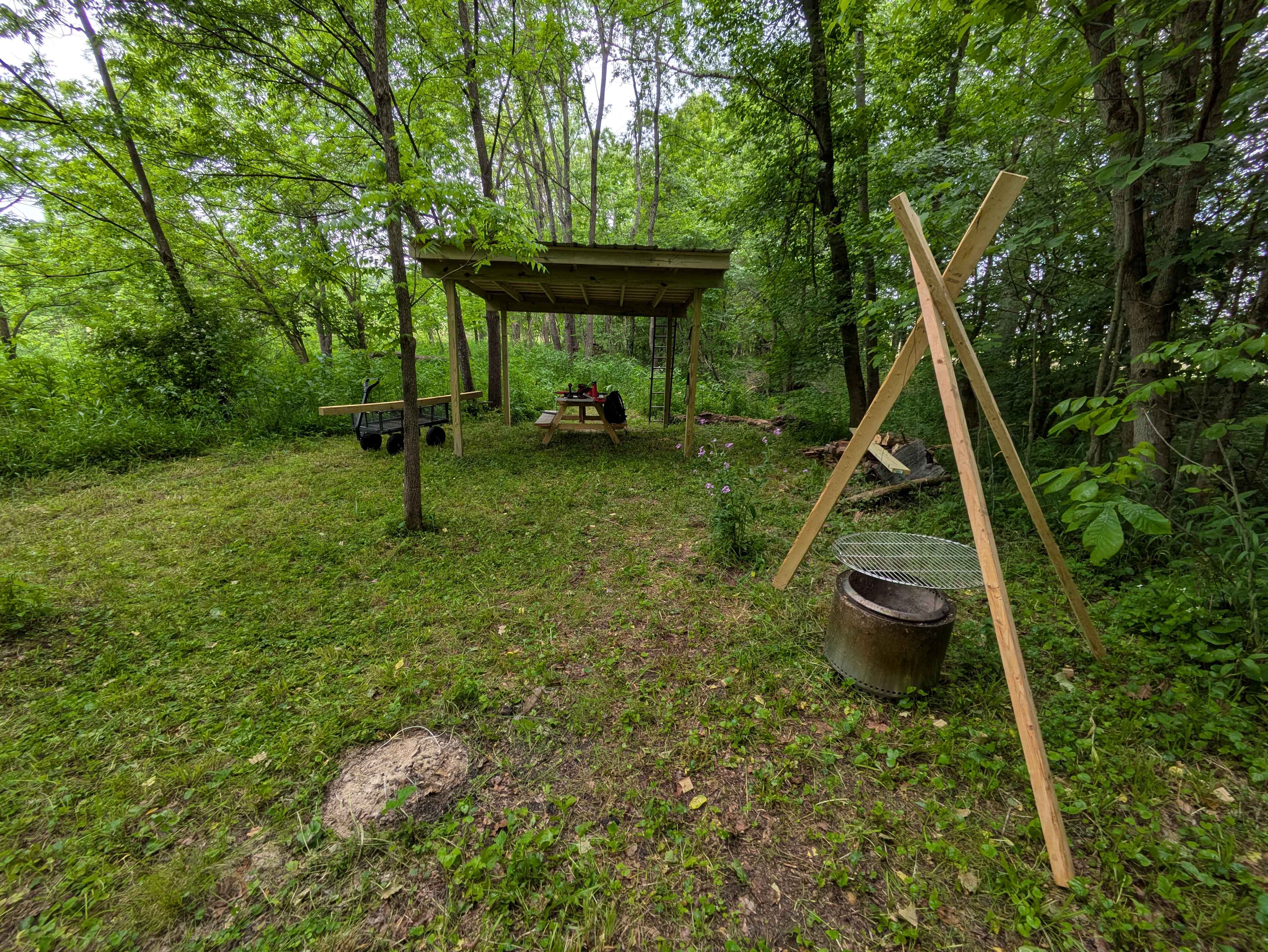 Bluebird Hollow