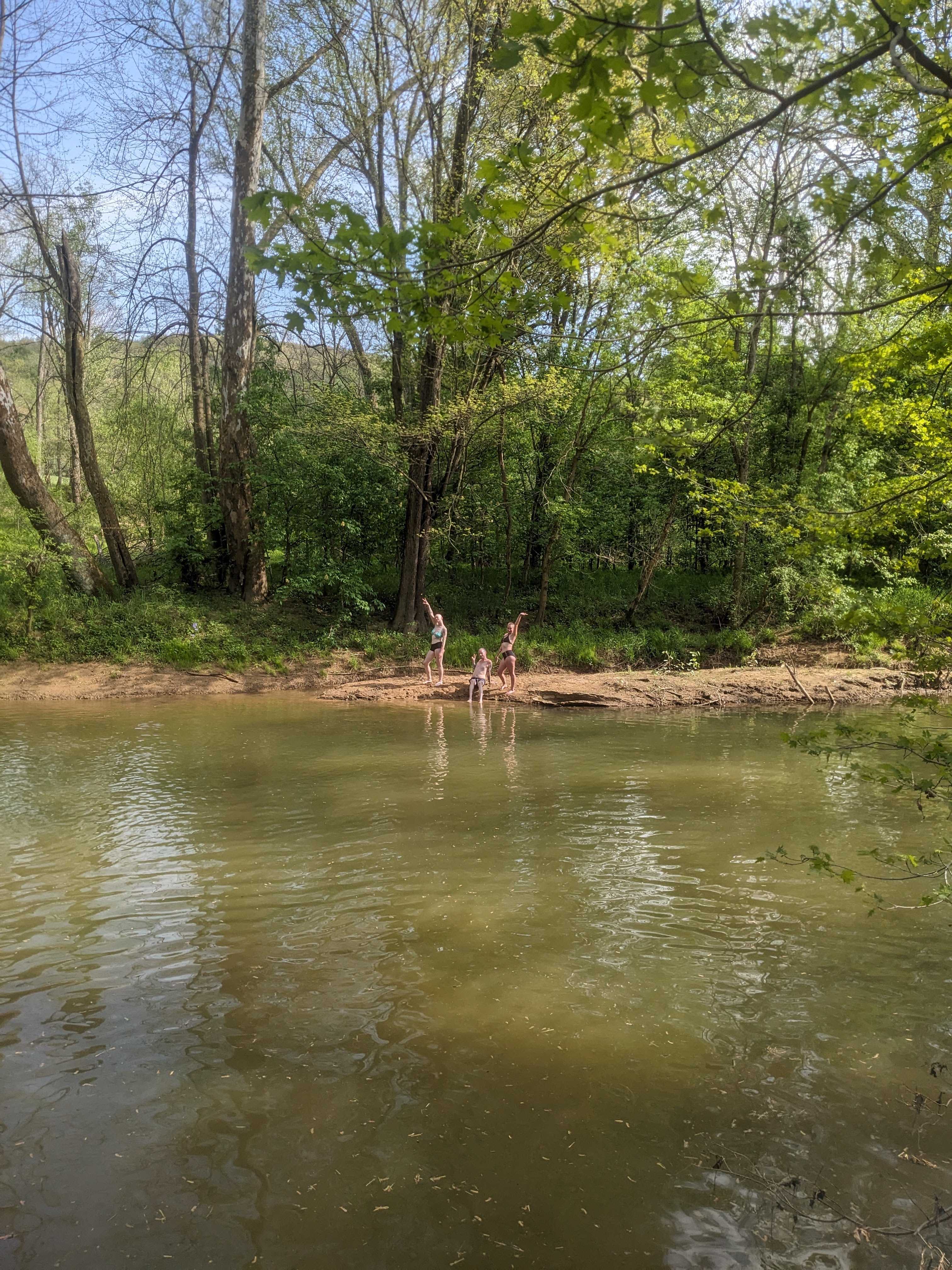 Bluebird Hollow