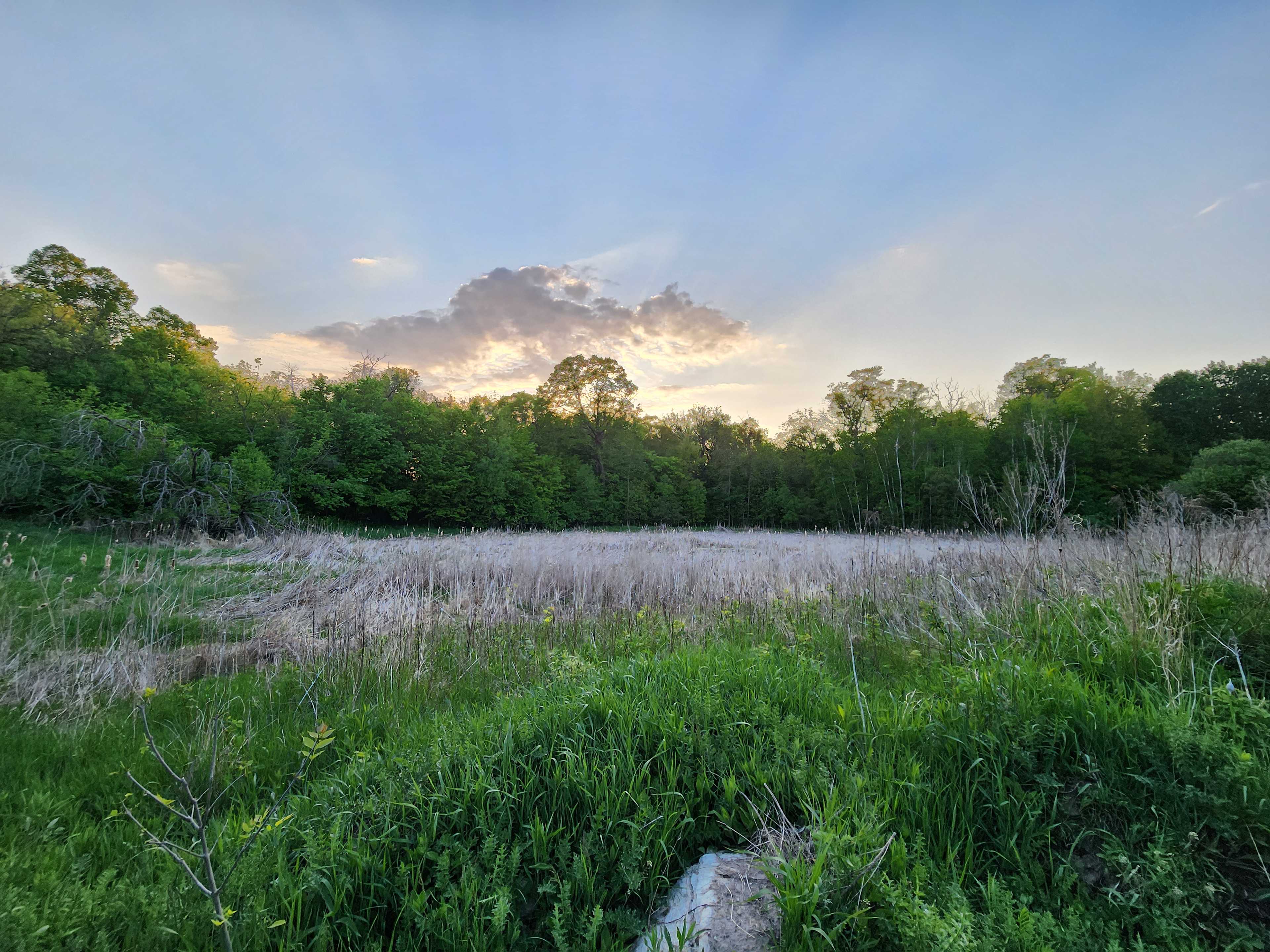 The Hippie Hideaway Camp & Trails
