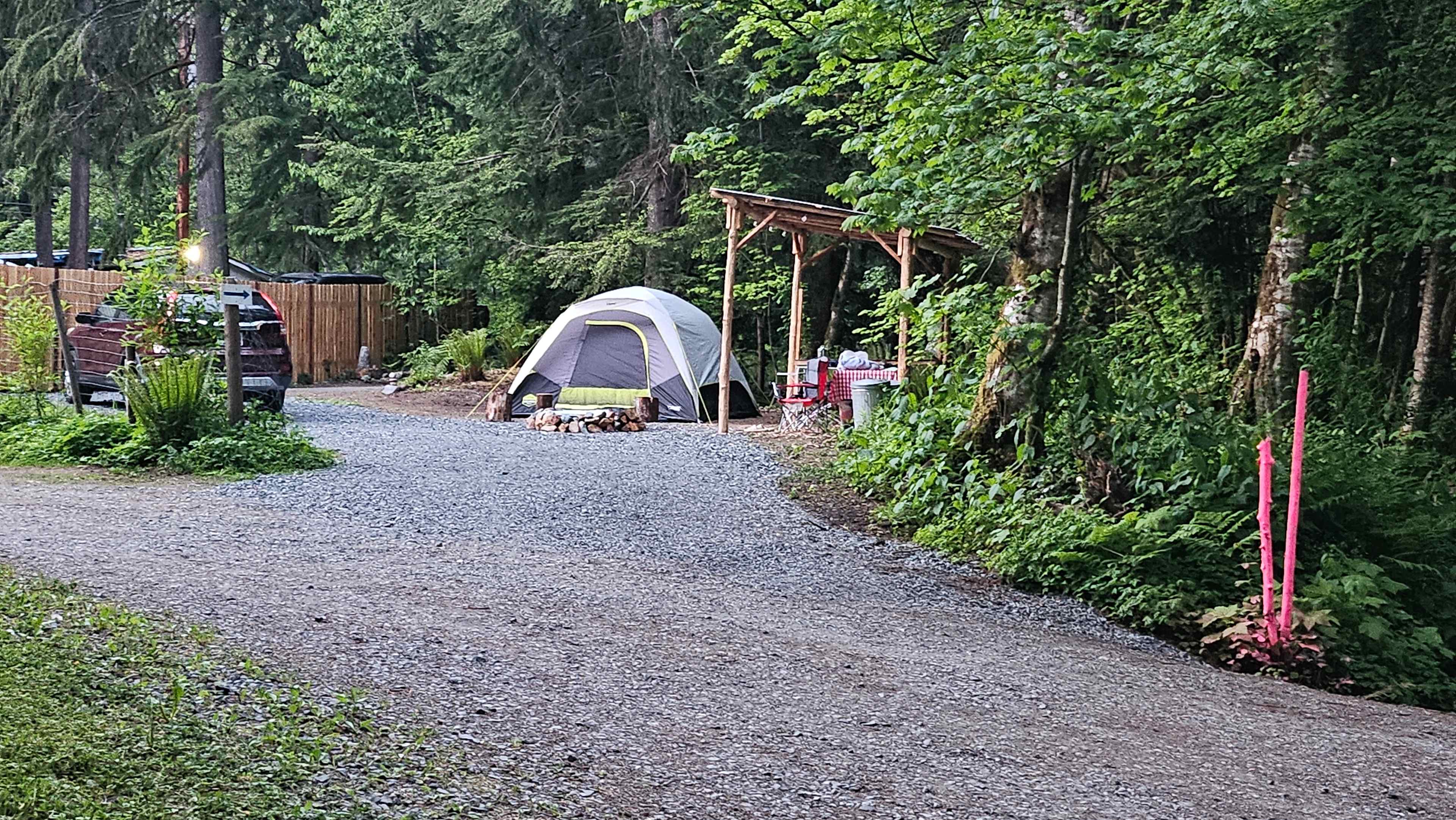 Picture of the site