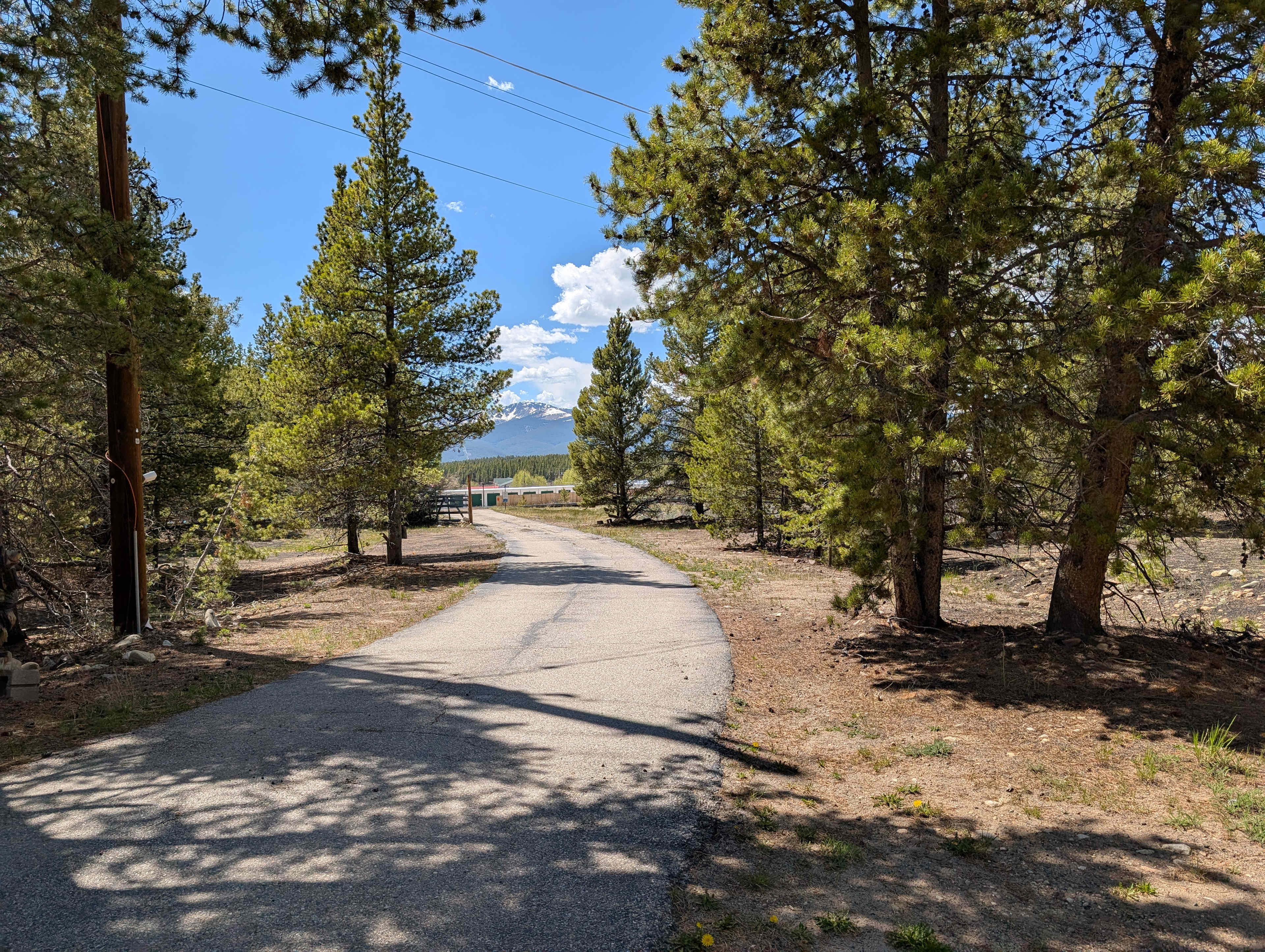 On driveway at the edge of site facing west