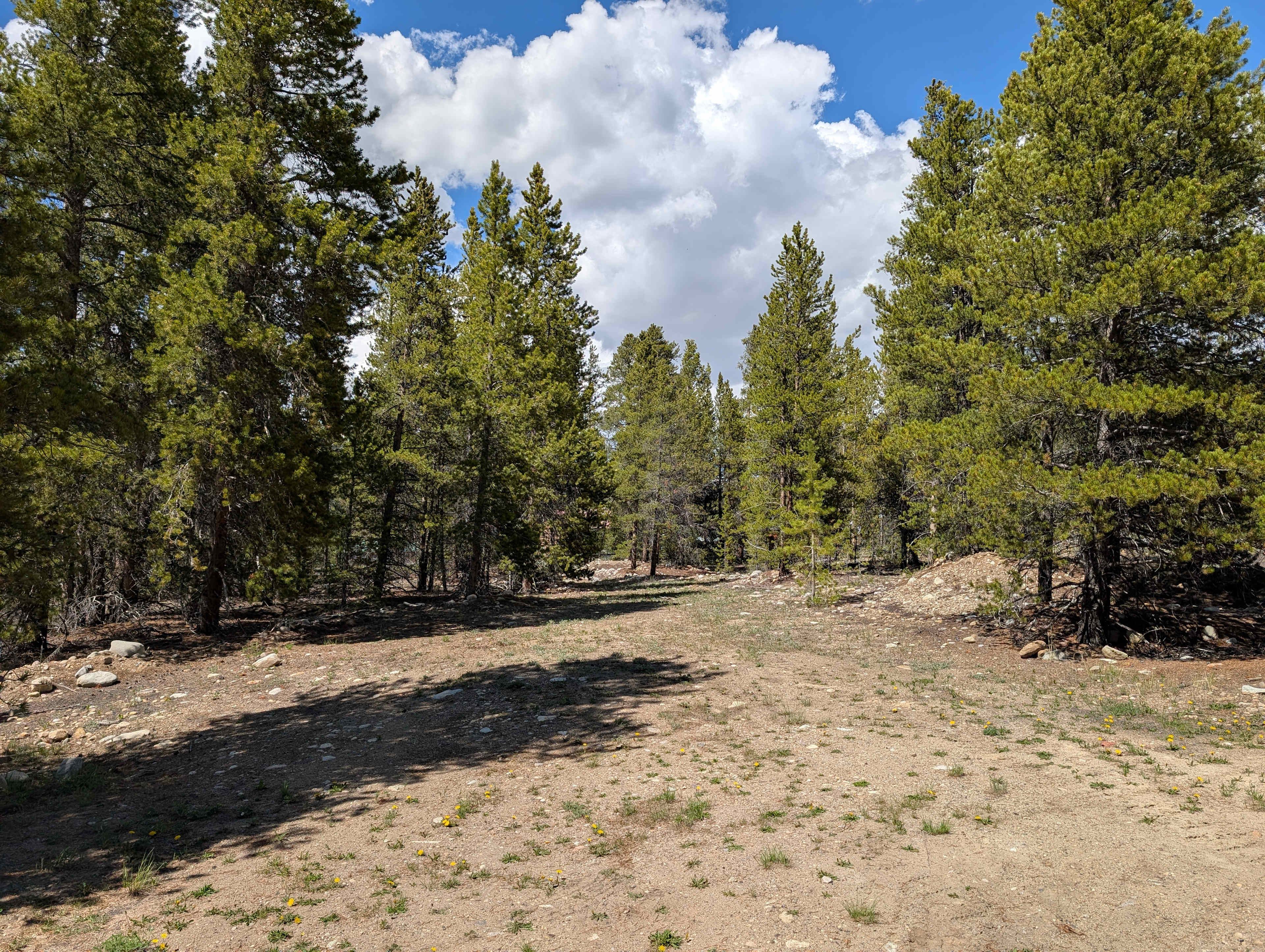 View of where you would be camping.  facing north