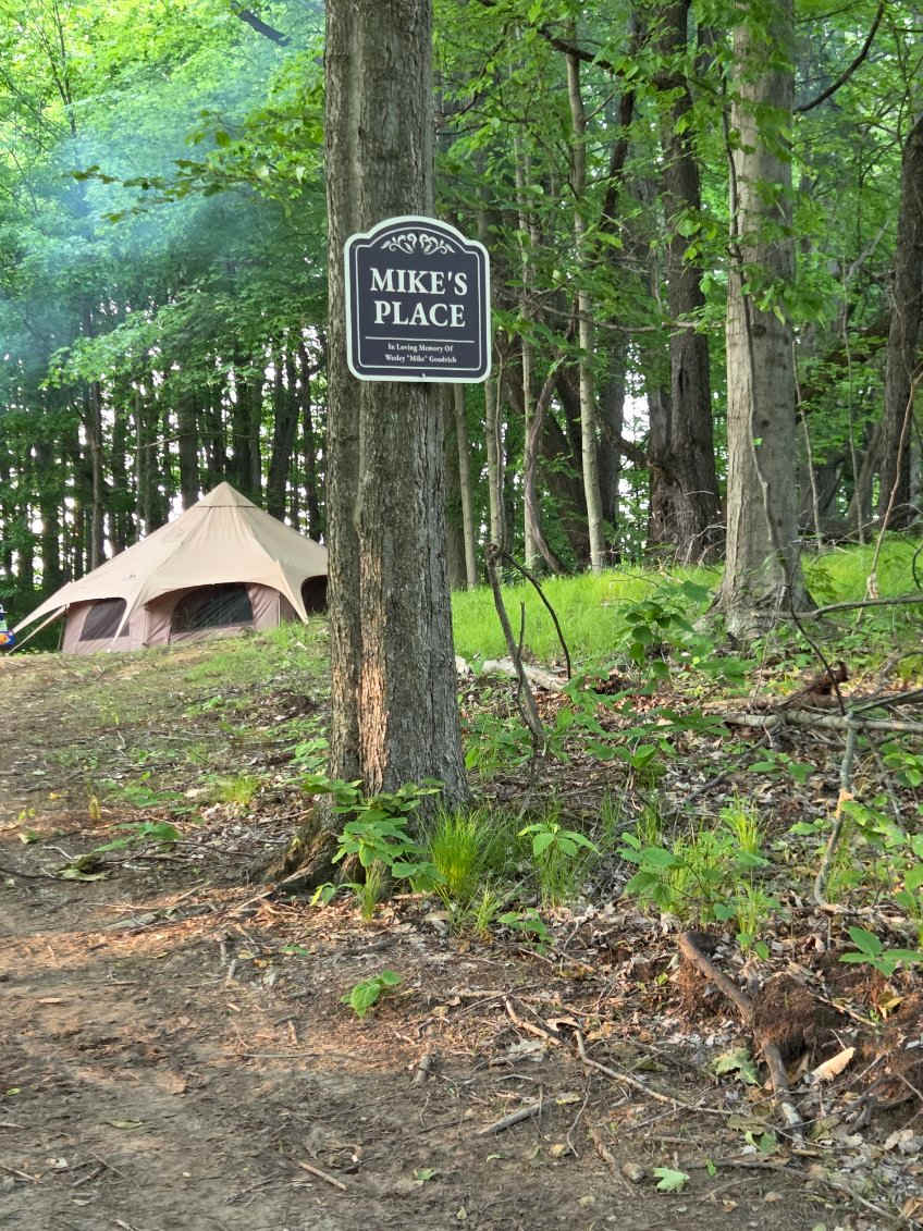 Picture of the site