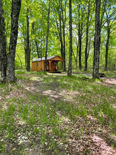 Forest Creek Farm