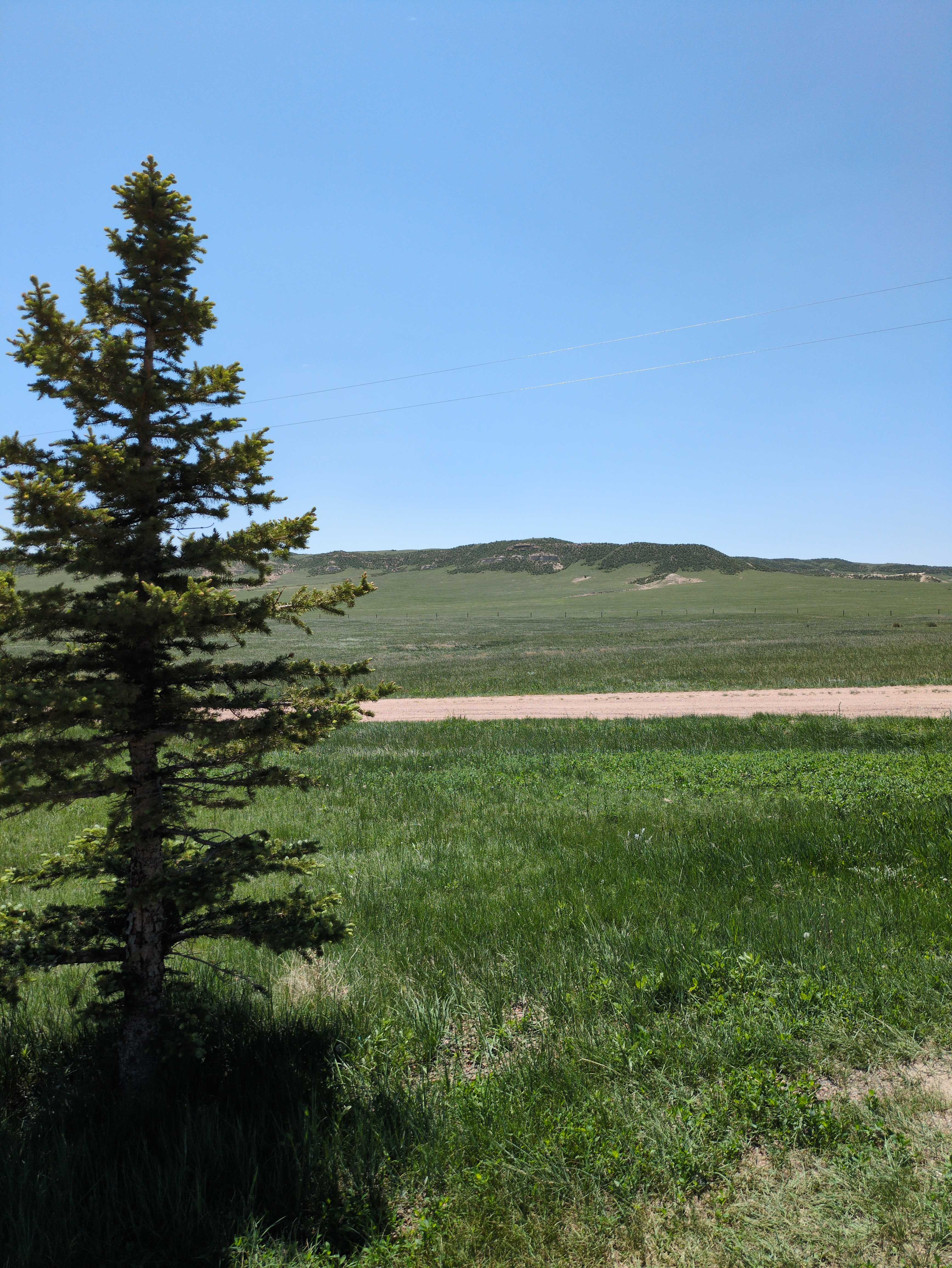 Luckless Ridge