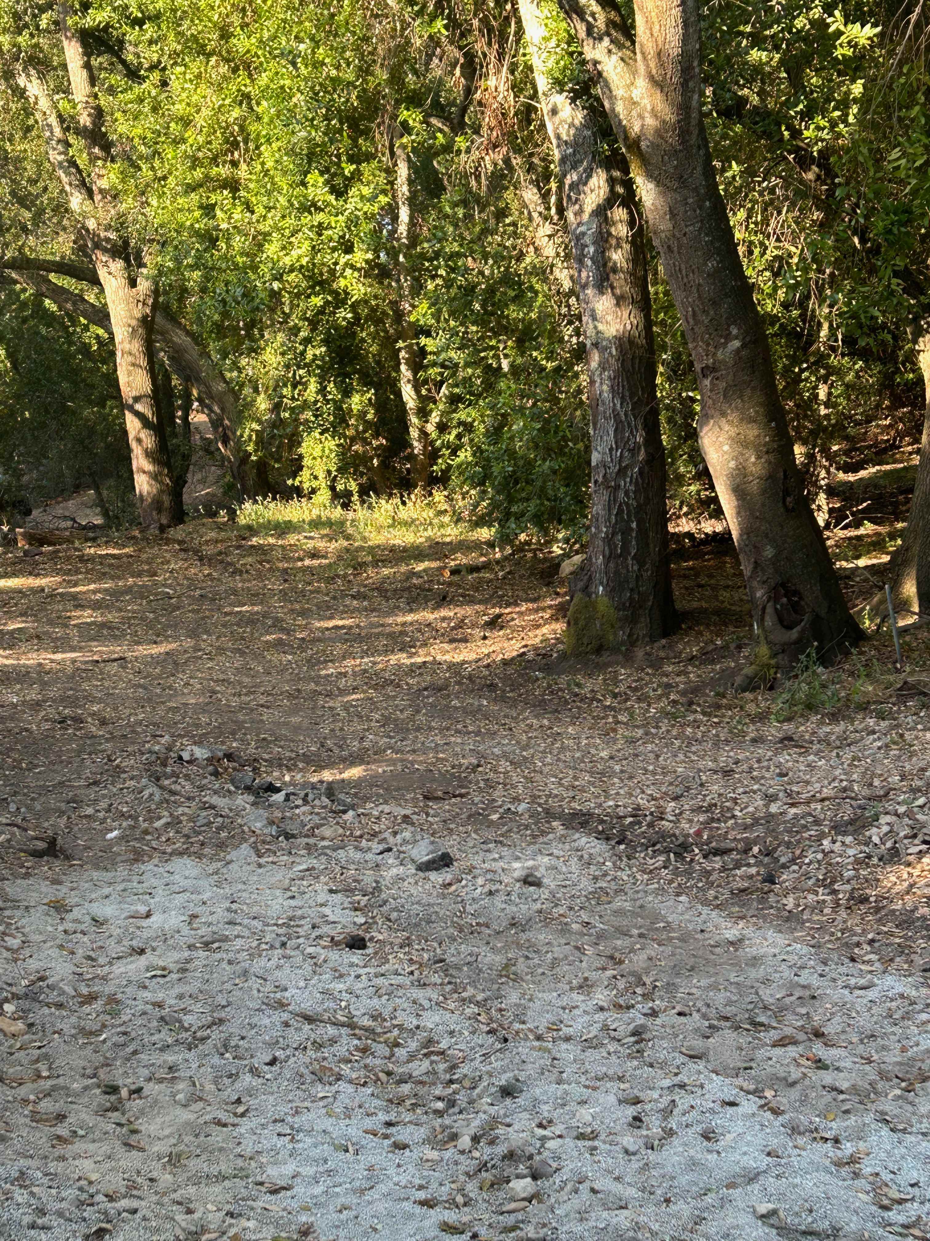 Oak Serenity RV Spot