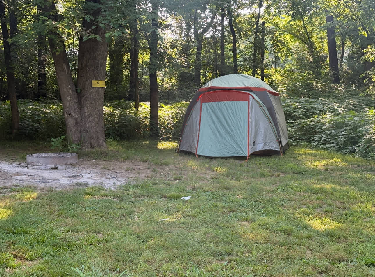 Picture of the site