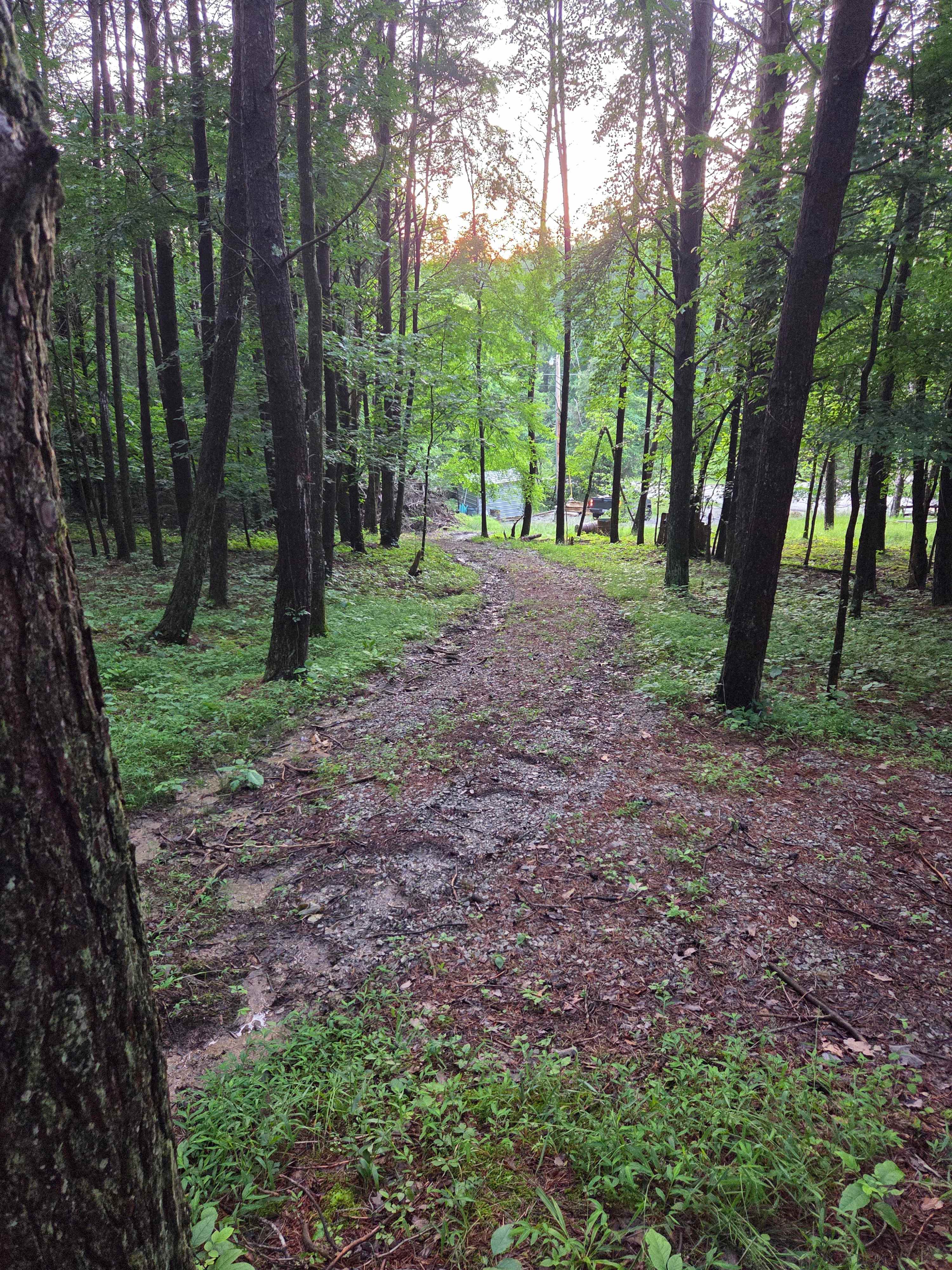 Beautiful, secluded 1 acre tract for you to explore. 