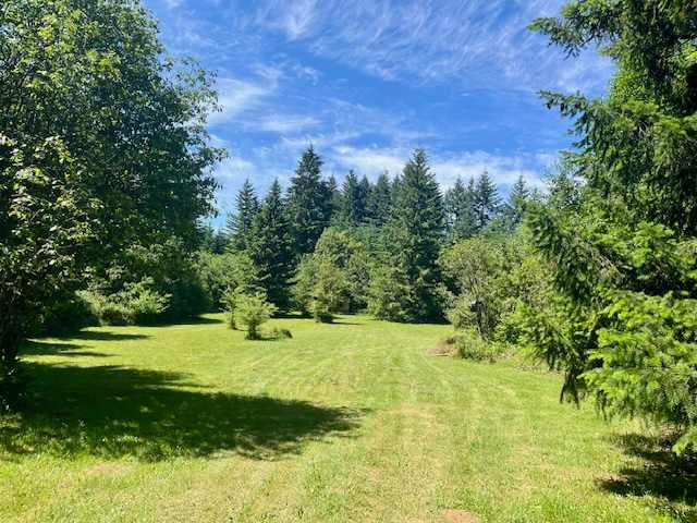 A short walk on forested trails brings you to the top of the meadow. This view is looking west, toward the tipi, which is behind the trees in the lower part of the field on the right side.
