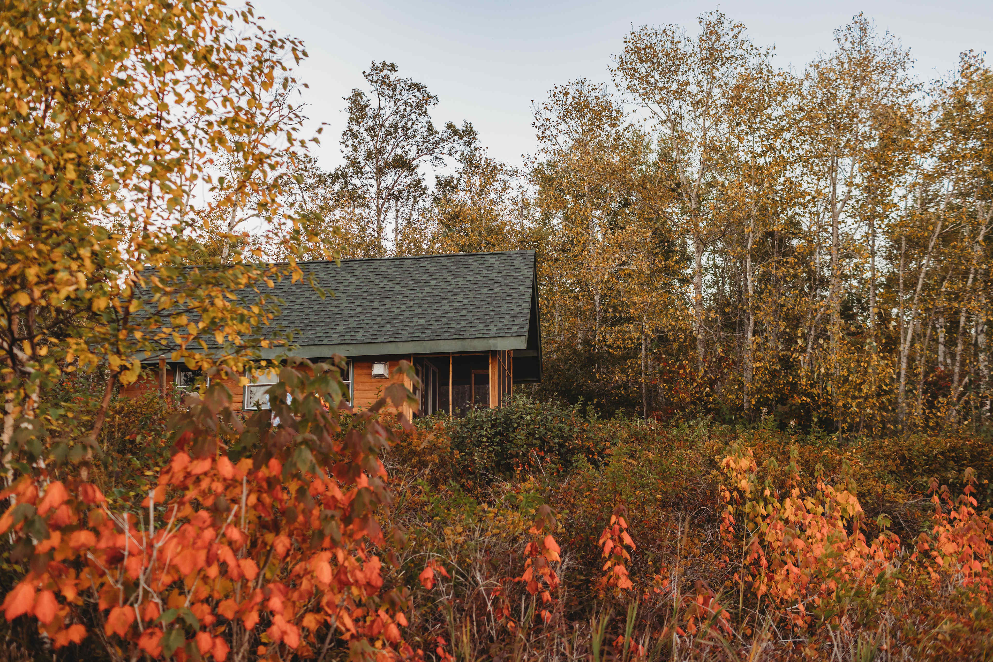 Tiny Cabin On Lake Superior