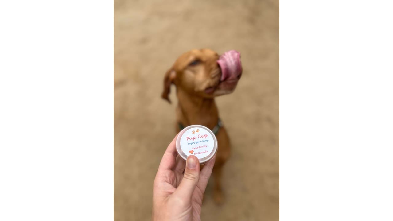 Nearby Getaway - Dogs Welcome!