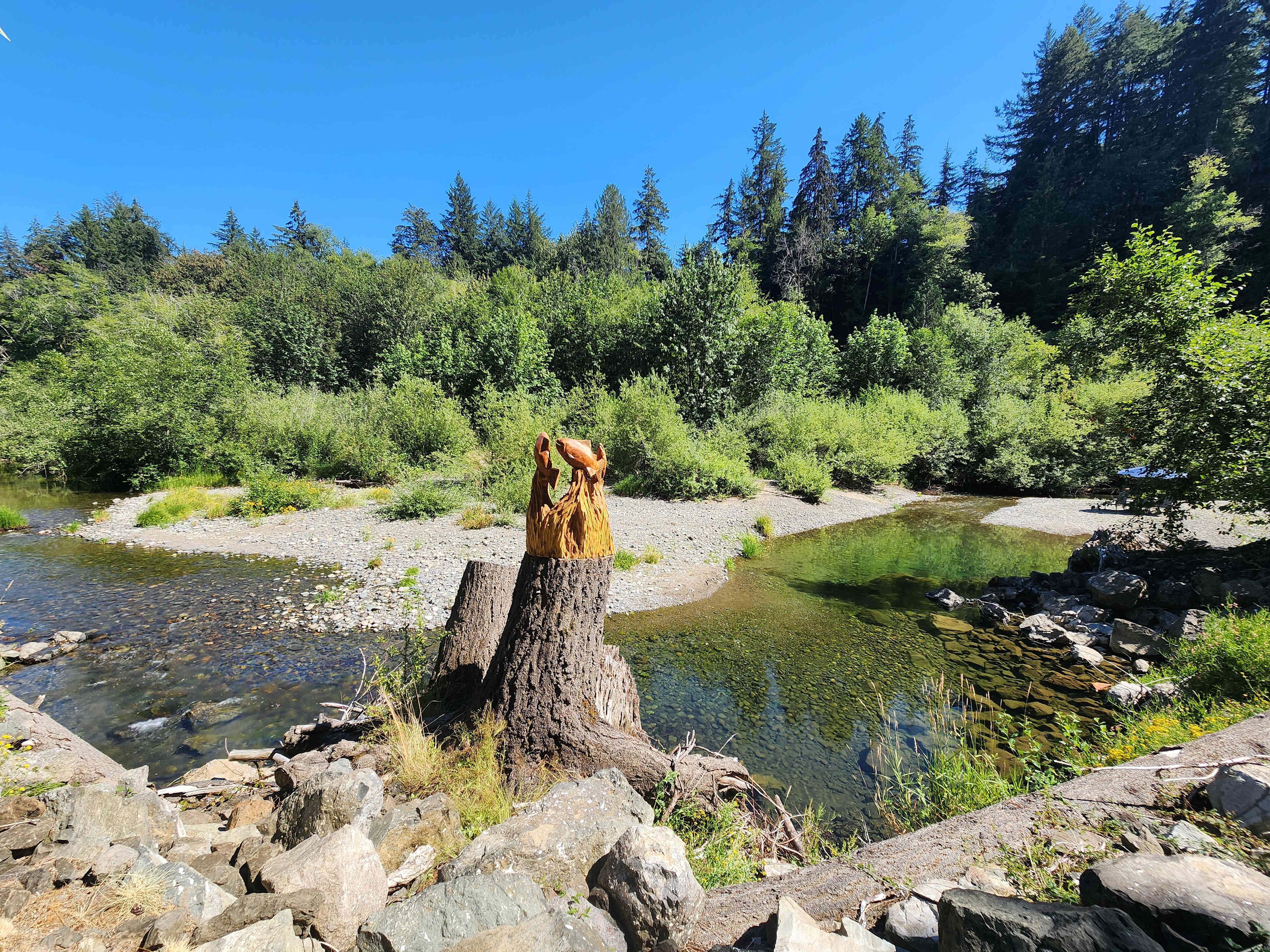 Tahuya River Lodge Campground