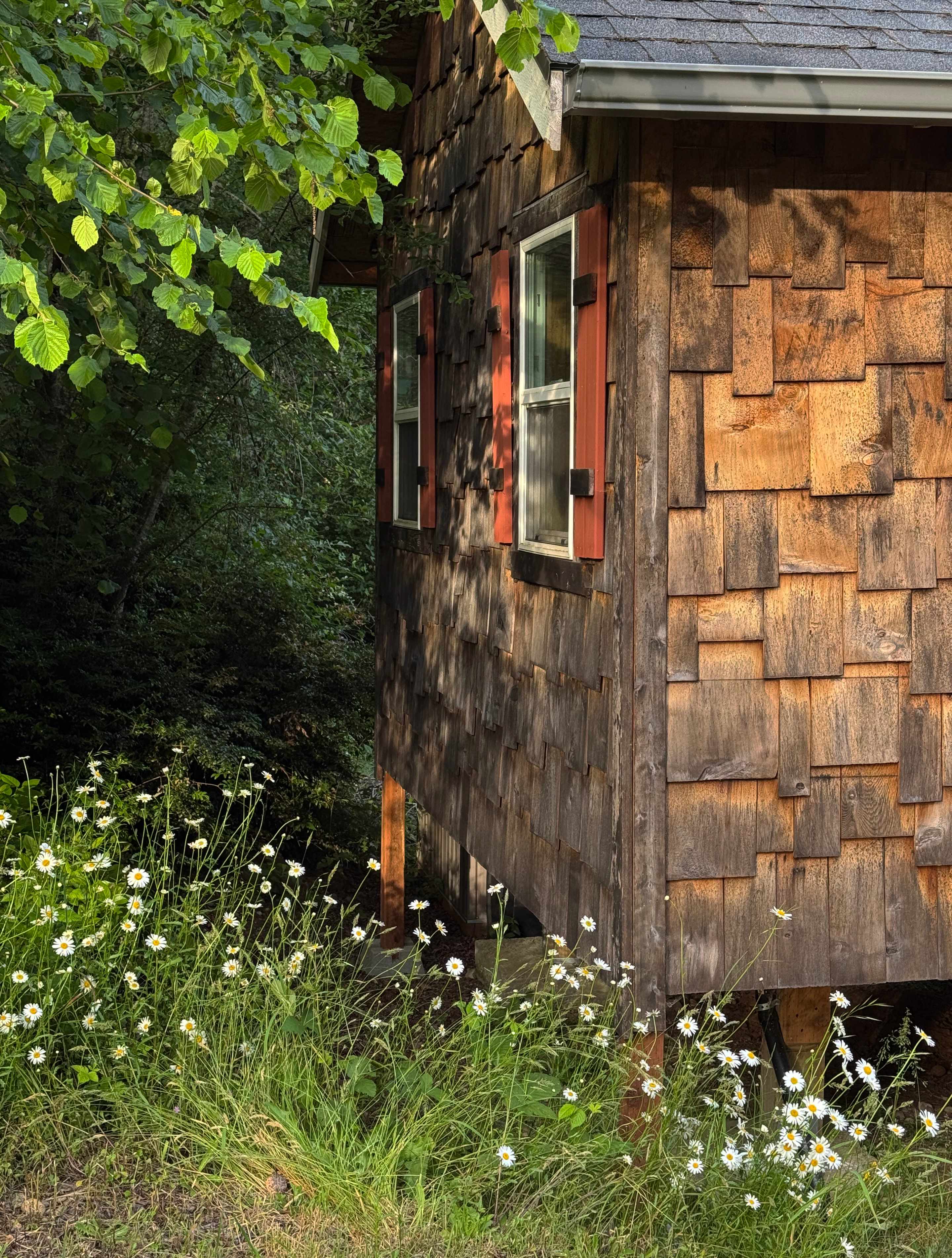 Cole's Cabin on Anderson Island