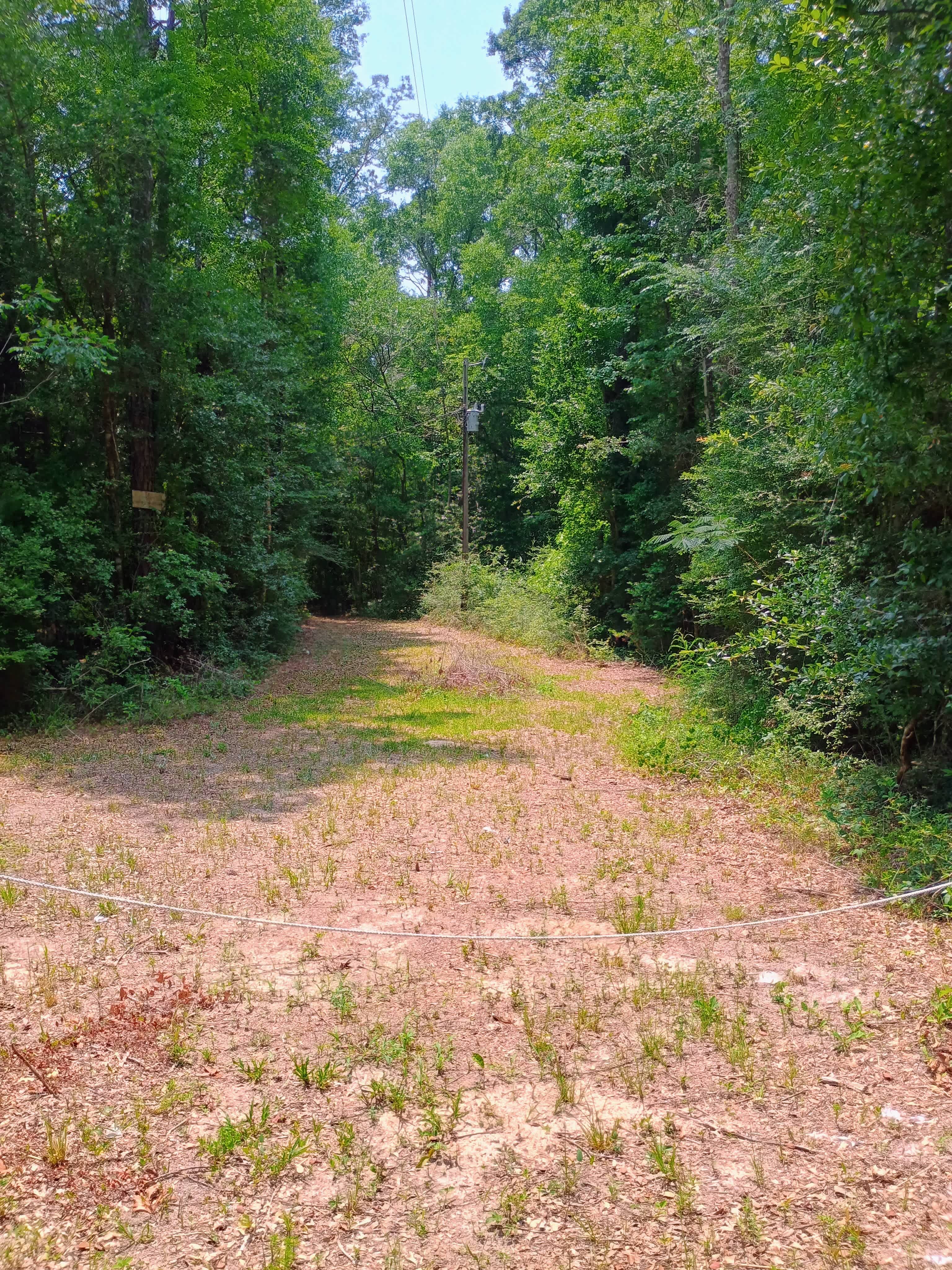 Pond side Fish Camp