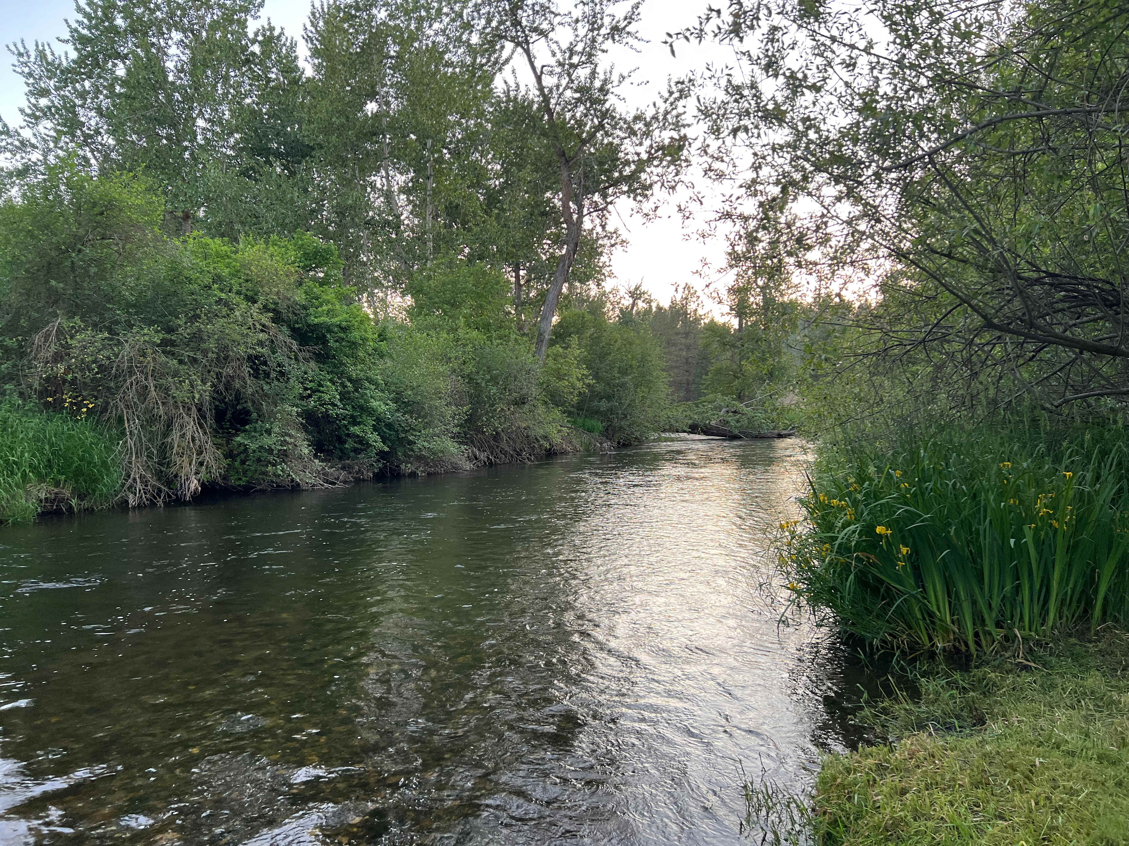 Little Spokane Riverside Retreat