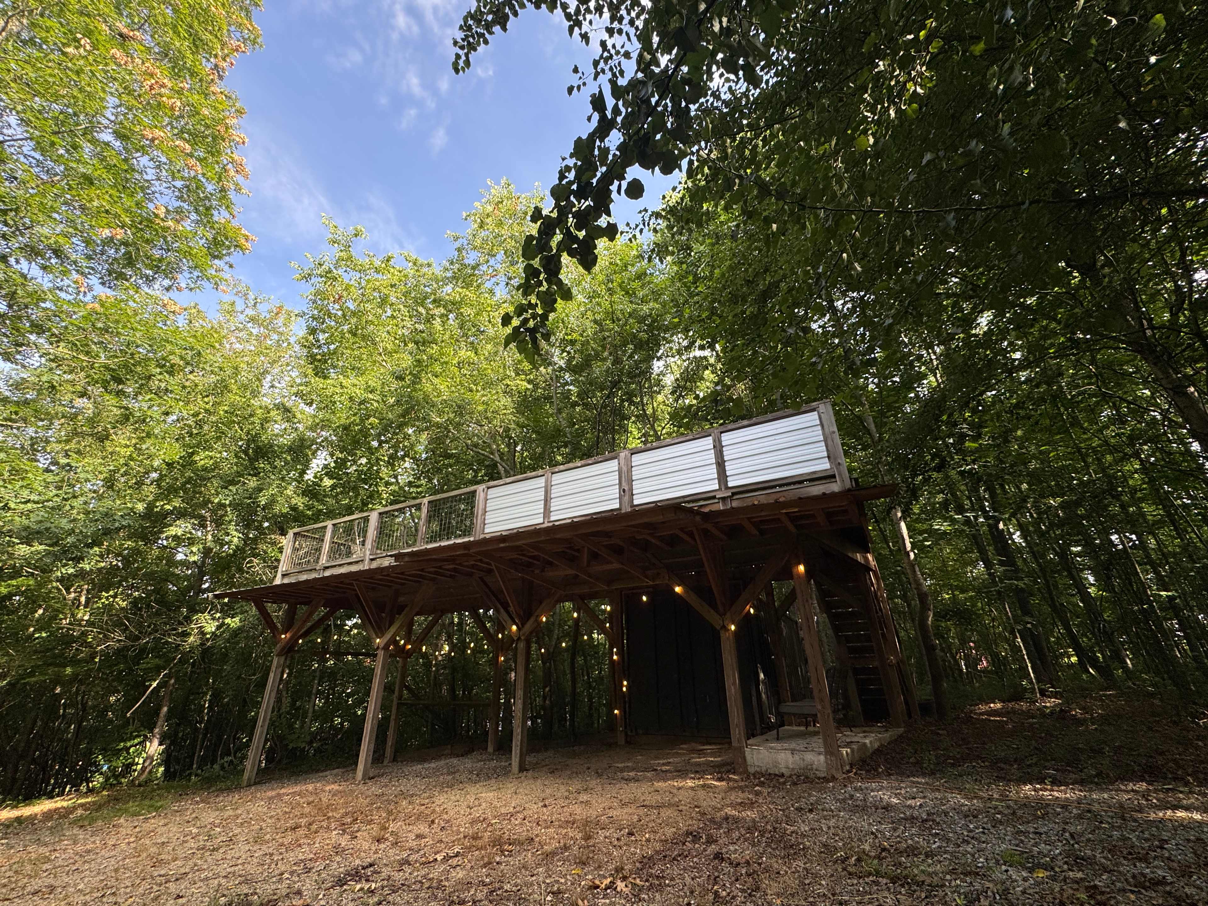 Treetop Camping Tent Site 🏕️