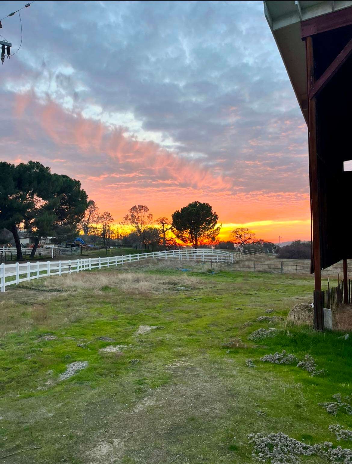 Robinhood Ranch; Holistic Camping