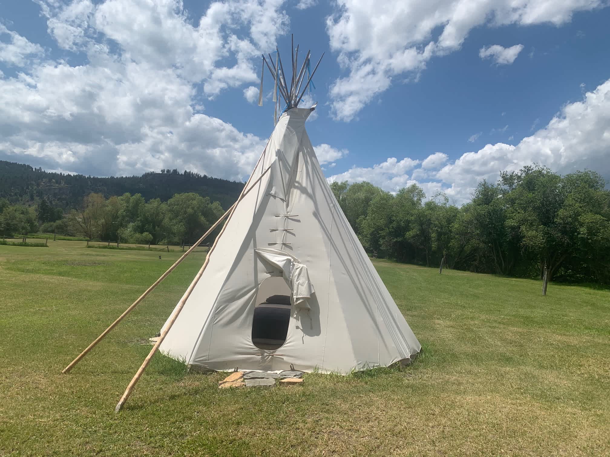 Picture of the site