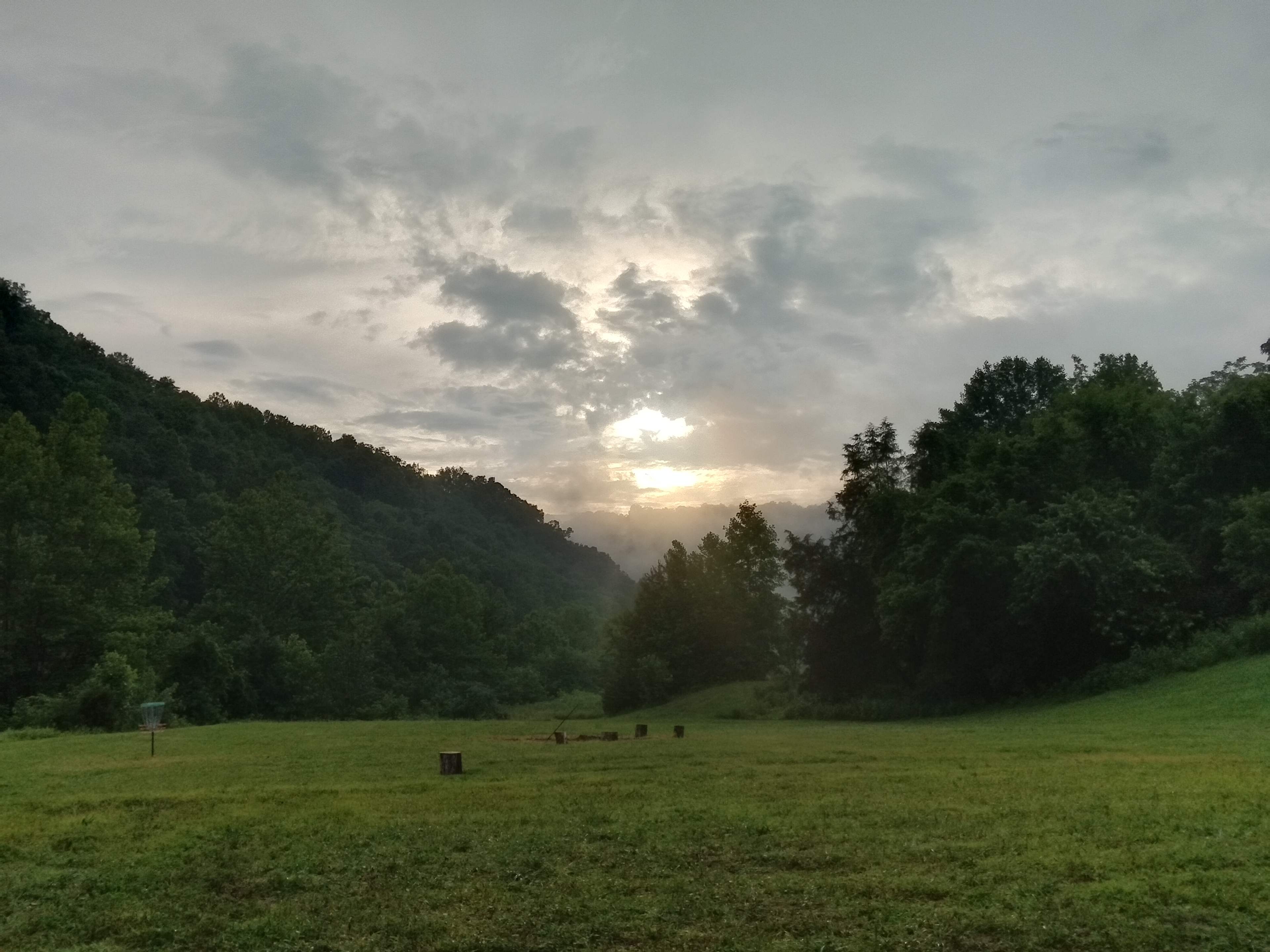 Picture of the site