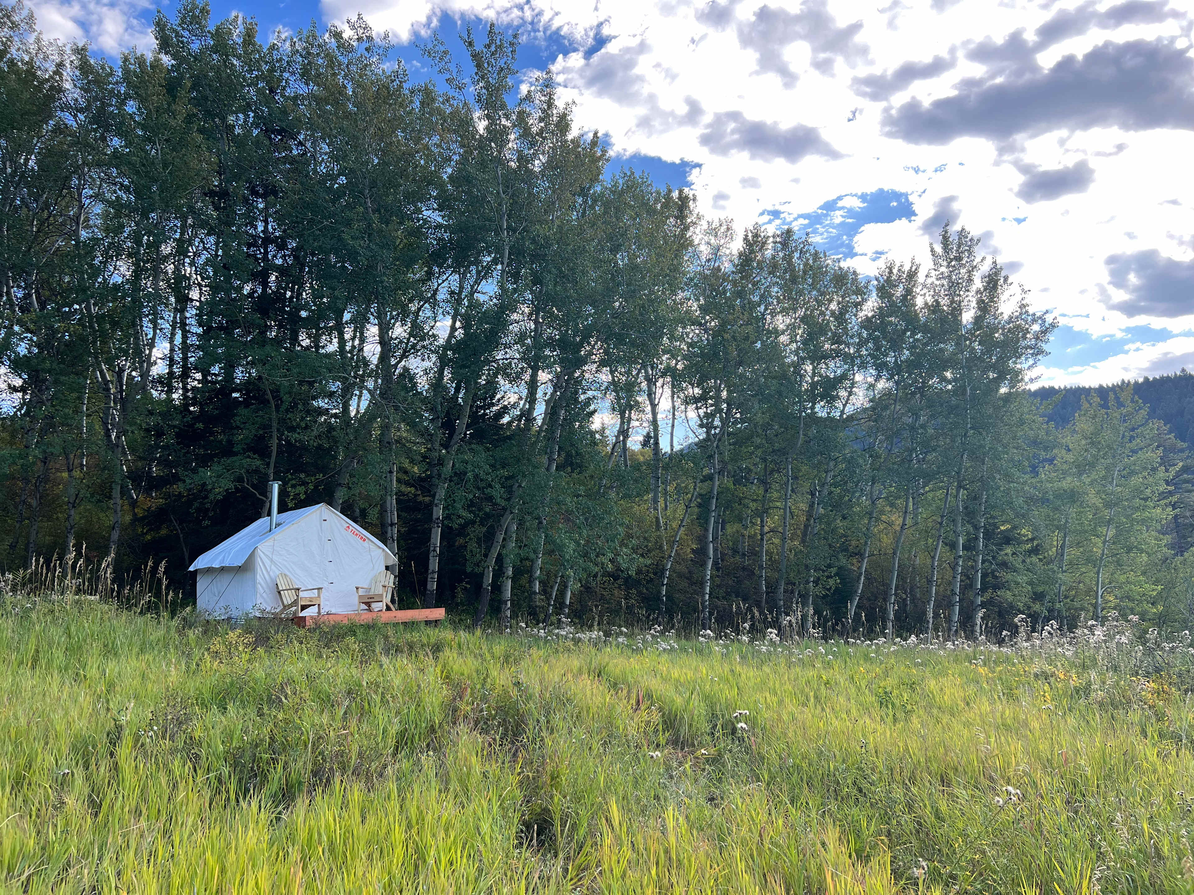 Picture of the site