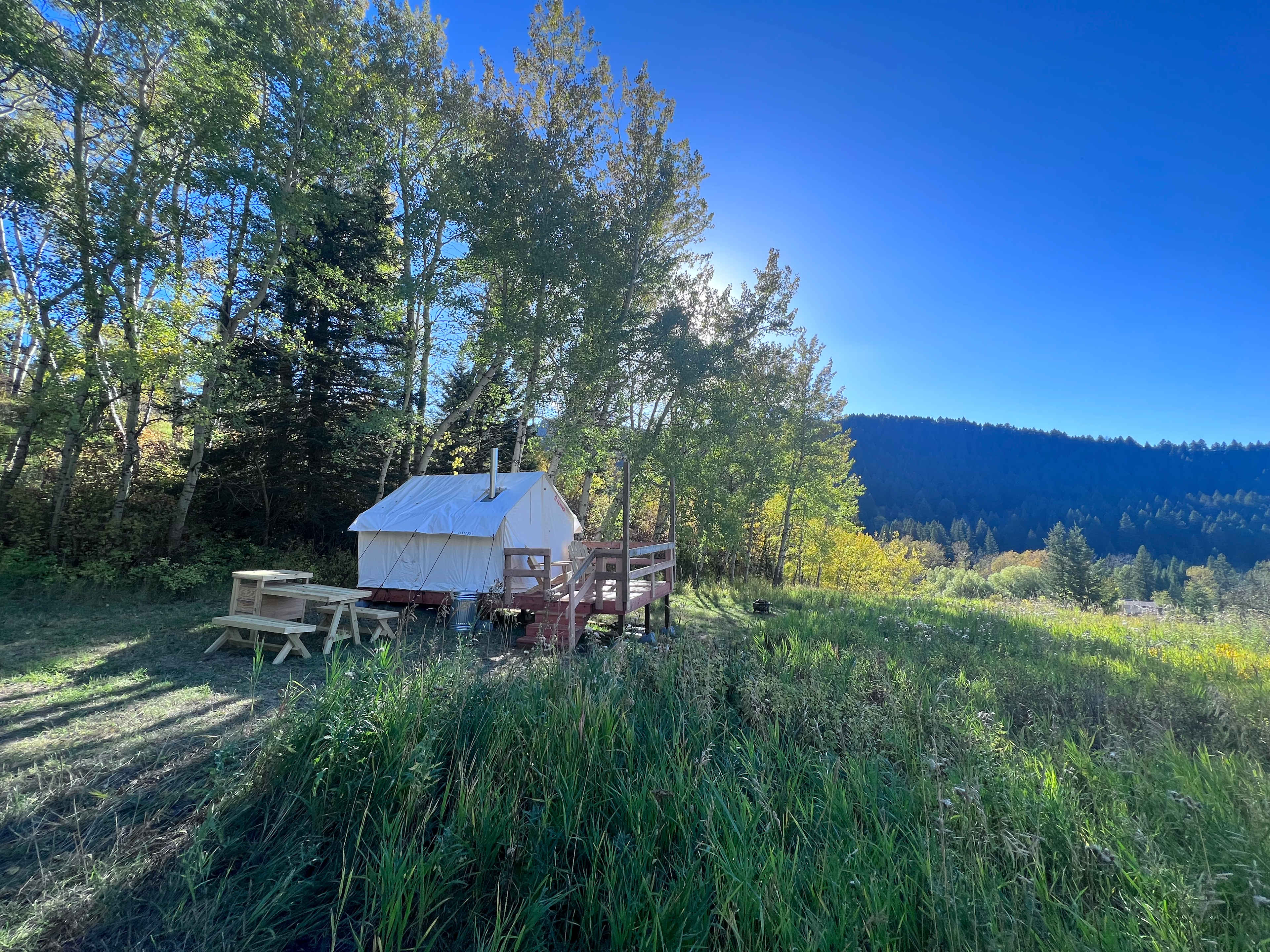 Picture of the site