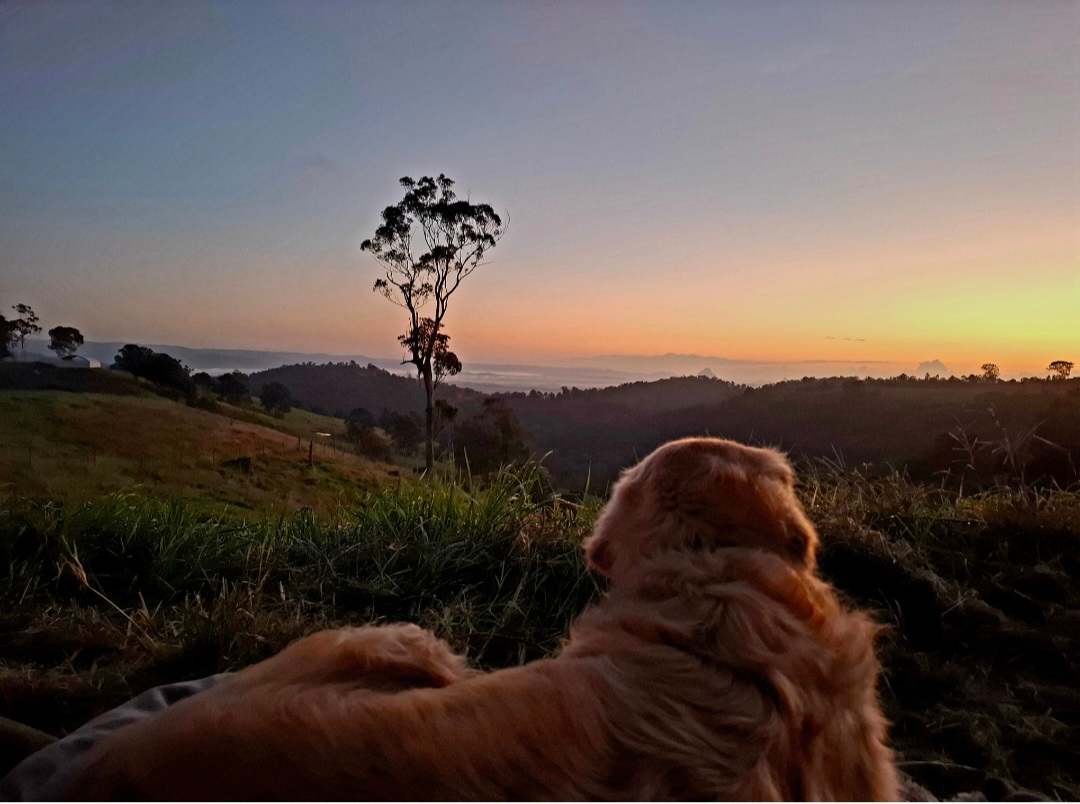 Coorie Vale